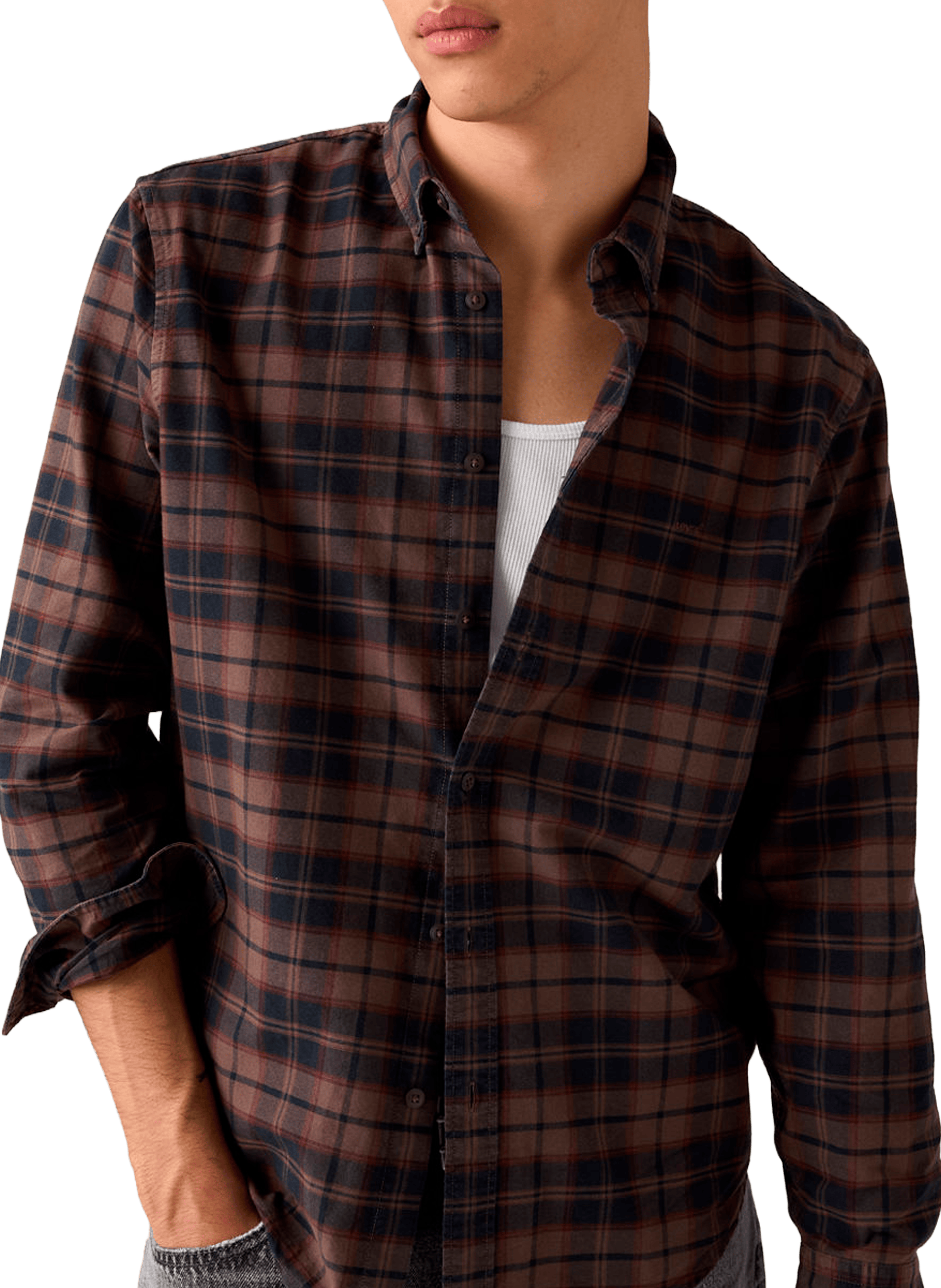 Chemise à carreaux Authentic en coton LEVI'S Marron