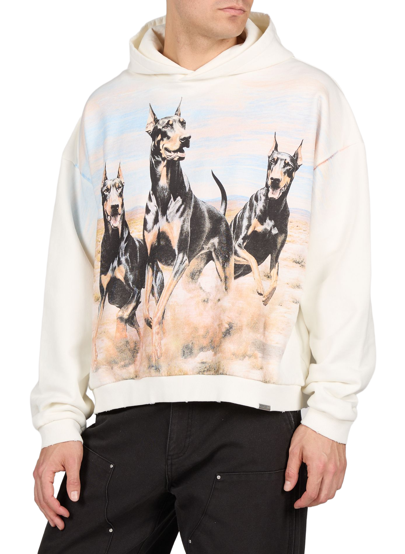 Sweat à capuche imprimé chiens en coton REPRESENT Blanc