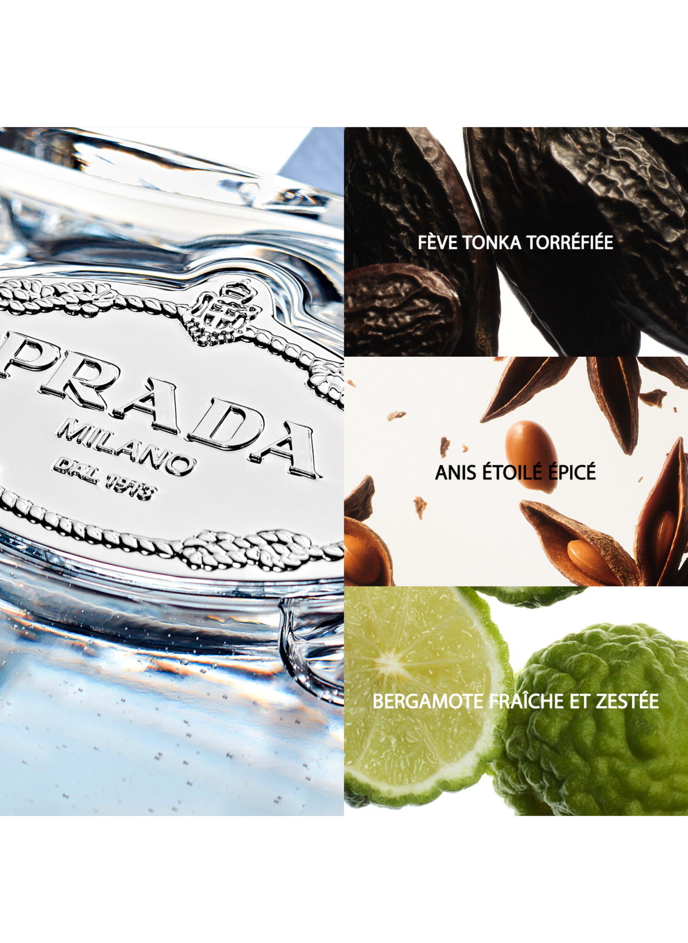 De Infusies - Delicate poederachtige bloemige Eau de Parfum PRADA No color