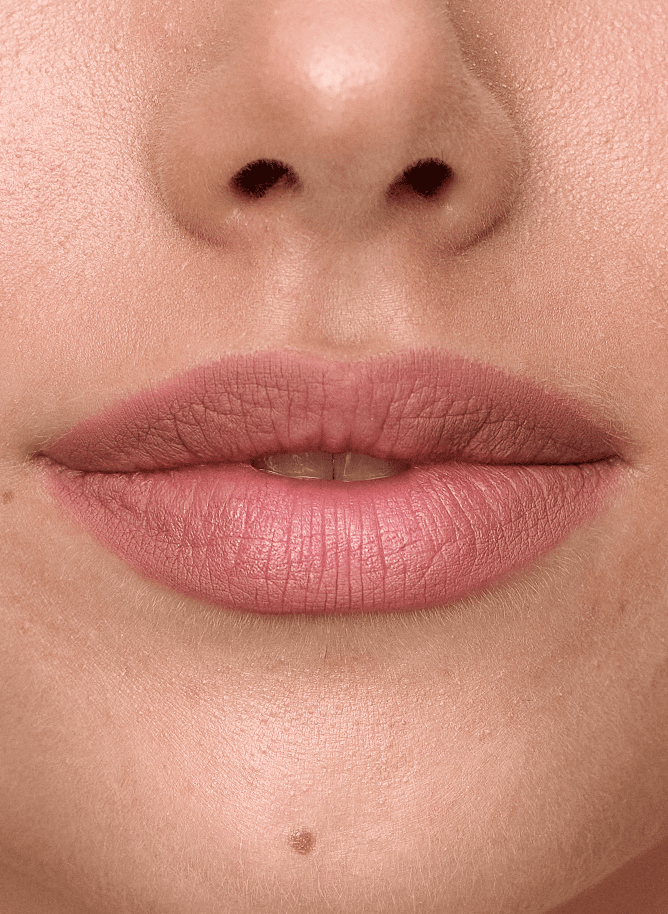 Lip Liner SWEED Barely there
