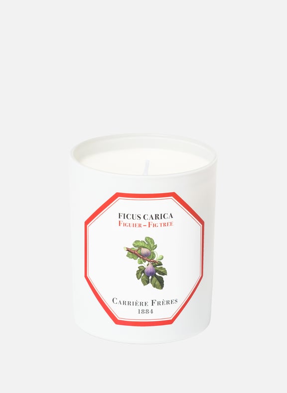 Bougie Parfumée Figuier - Ficus Carica - 185 g by CARRIERE FRERES CARRIERE FRERES Bougie Parfumée Figuier - Ficus Carica - 185 g