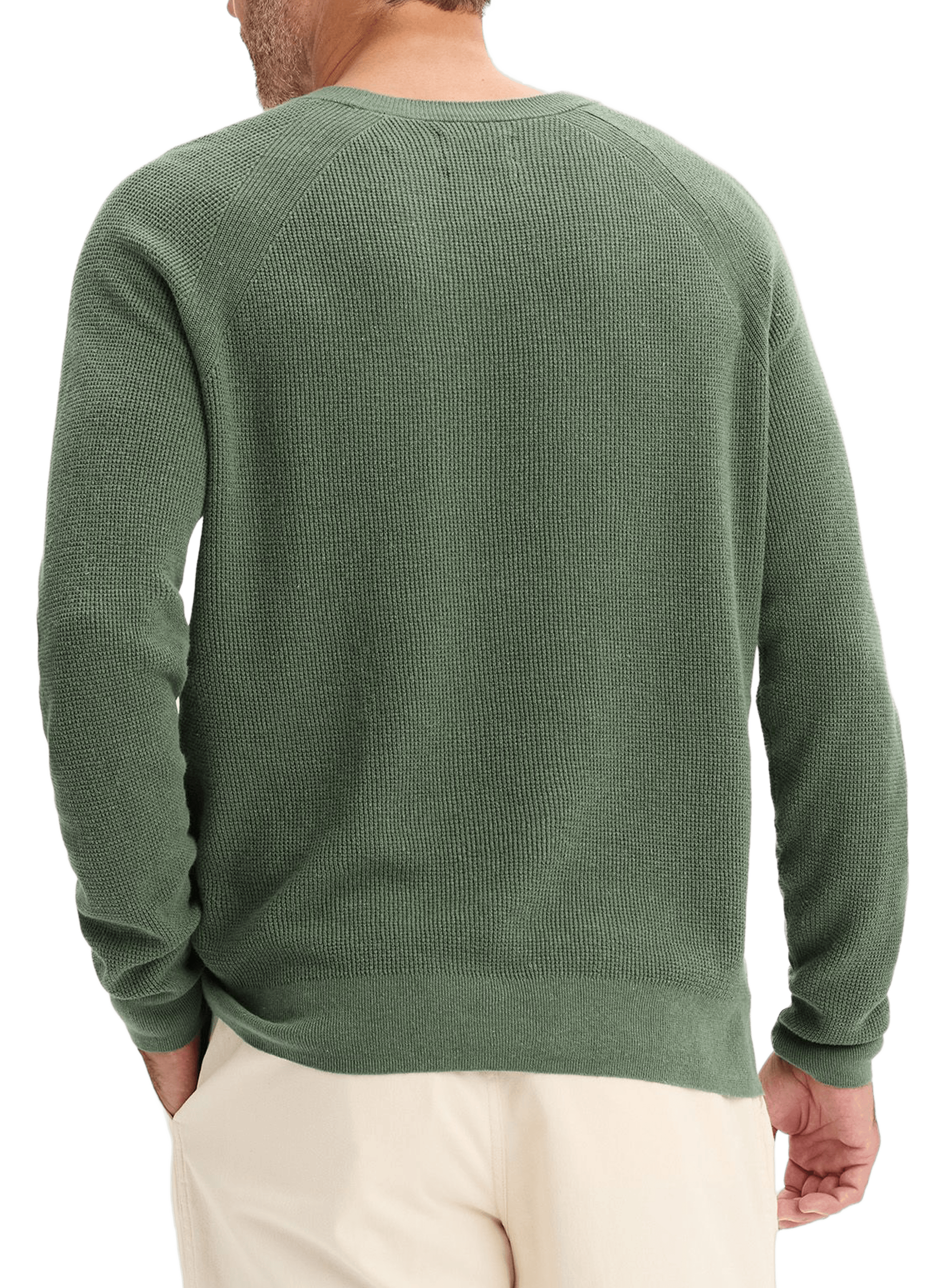 Pull col rond en coton organique DOCKERS Vert