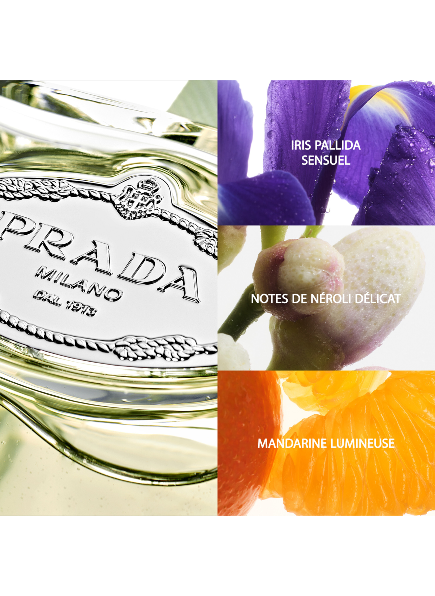 The Infusions - Elegant woody floral Eau de Parfum PRADA No color