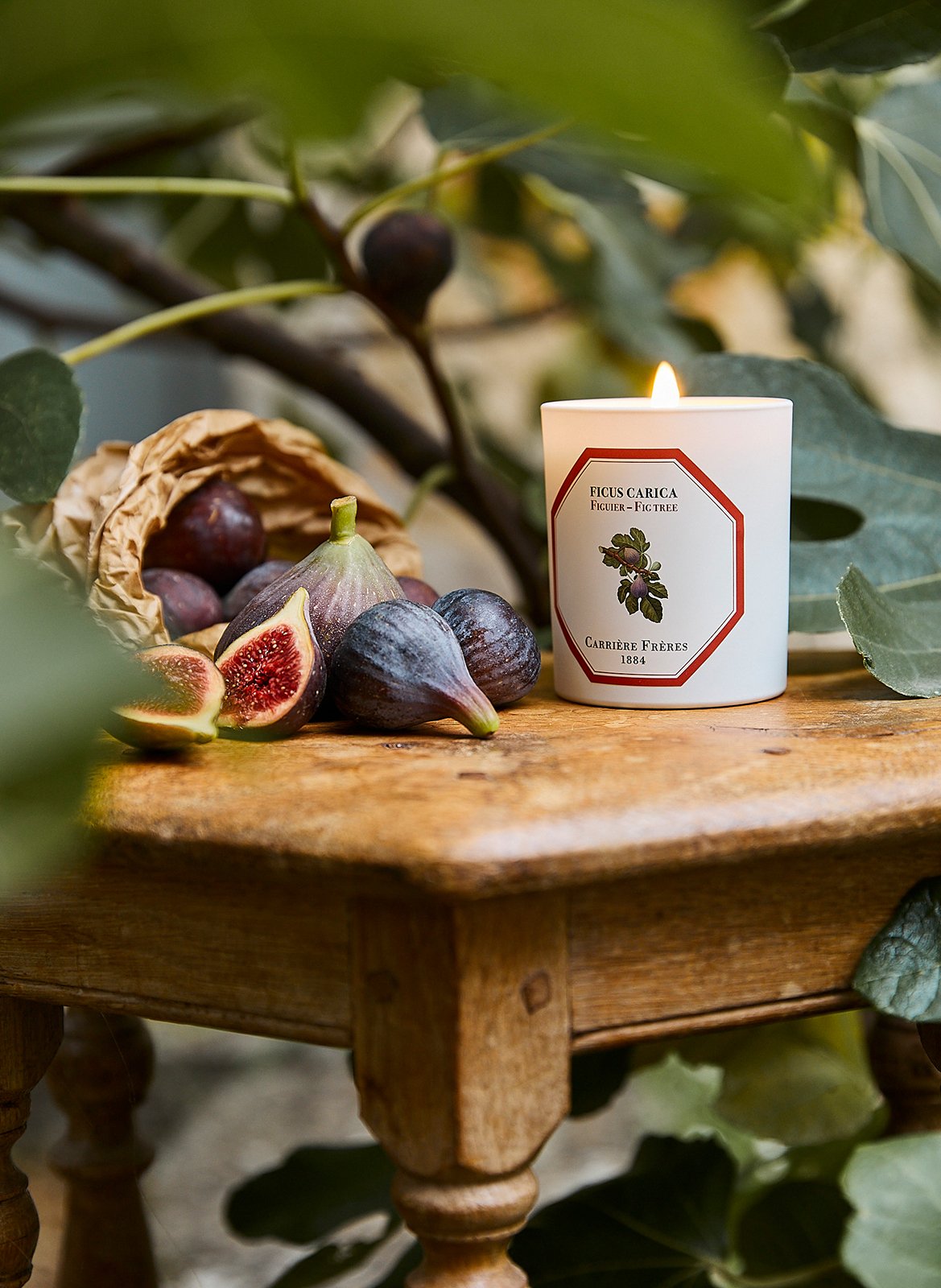 Bougie Parfumée Figuier - Ficus Carica - 185 g CARRIERE FRERES No color