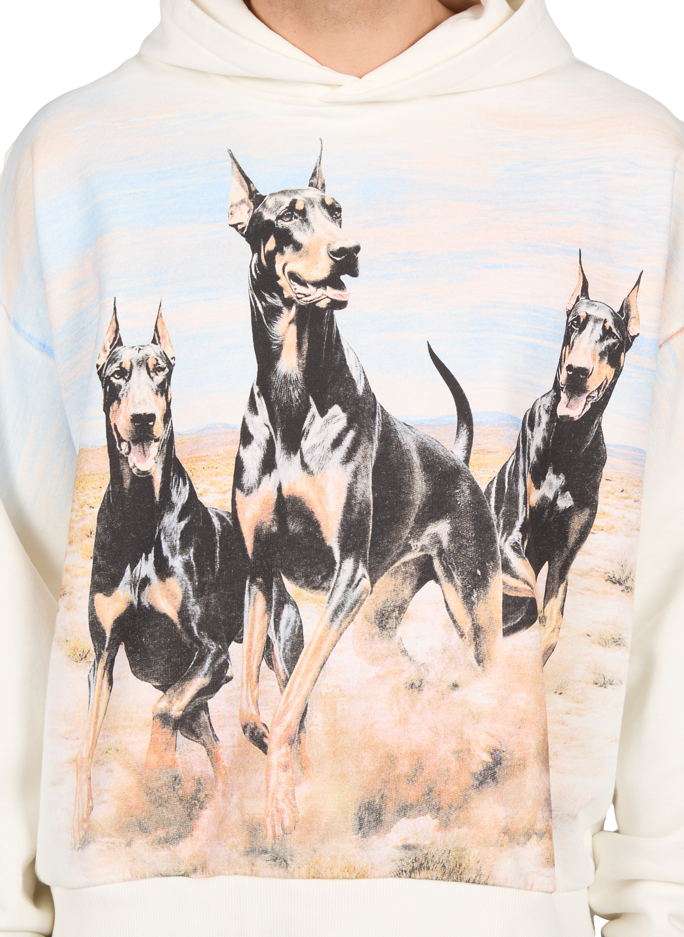 Sweat à capuche imprimé chiens en coton REPRESENT Blanc