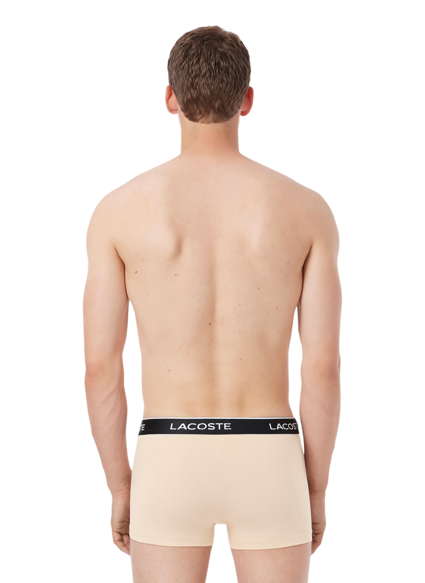 Lot de 3 boxers en coton LACOSTE Multicolore