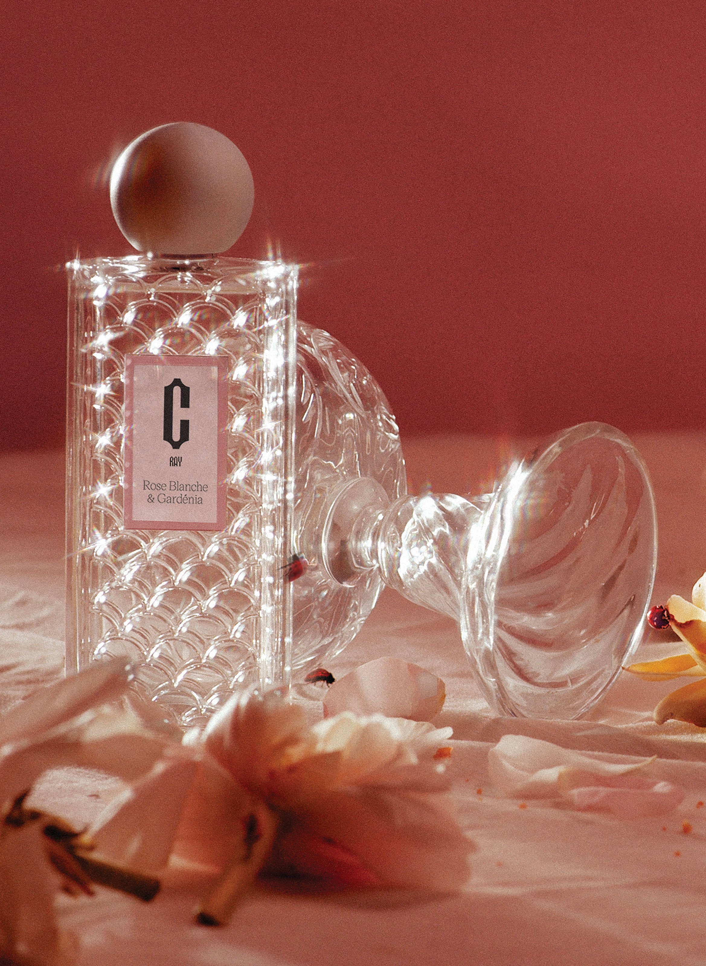 Rose Blanche &amp; Gardénia CARLOTHA RAY No color