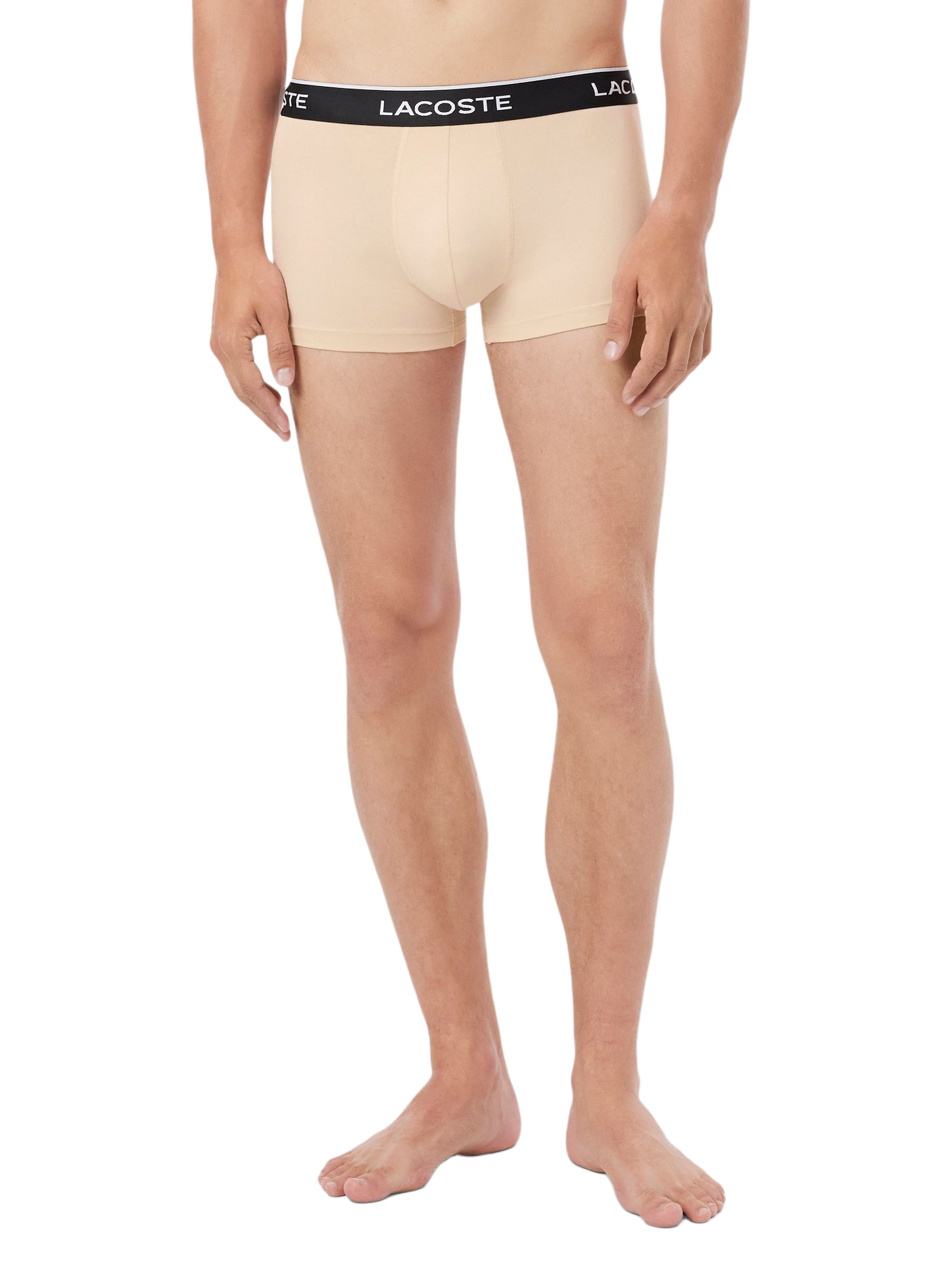 Lot de 3 boxers en coton LACOSTE Multicolore