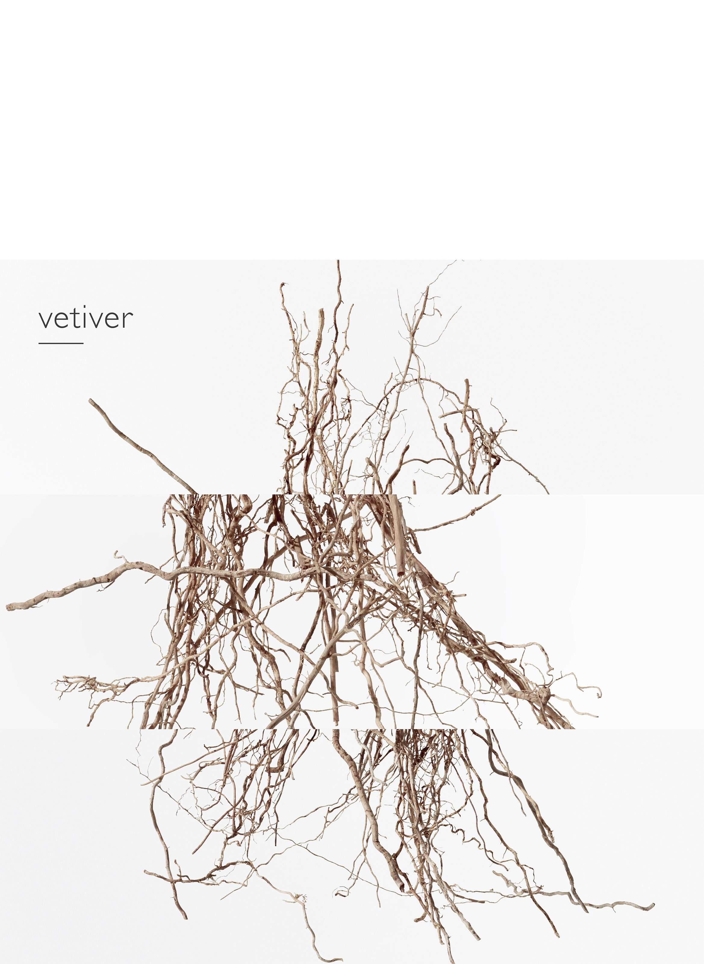 Concentré de Pamplemousse Rose, Eau de toilette HERMÈS No color