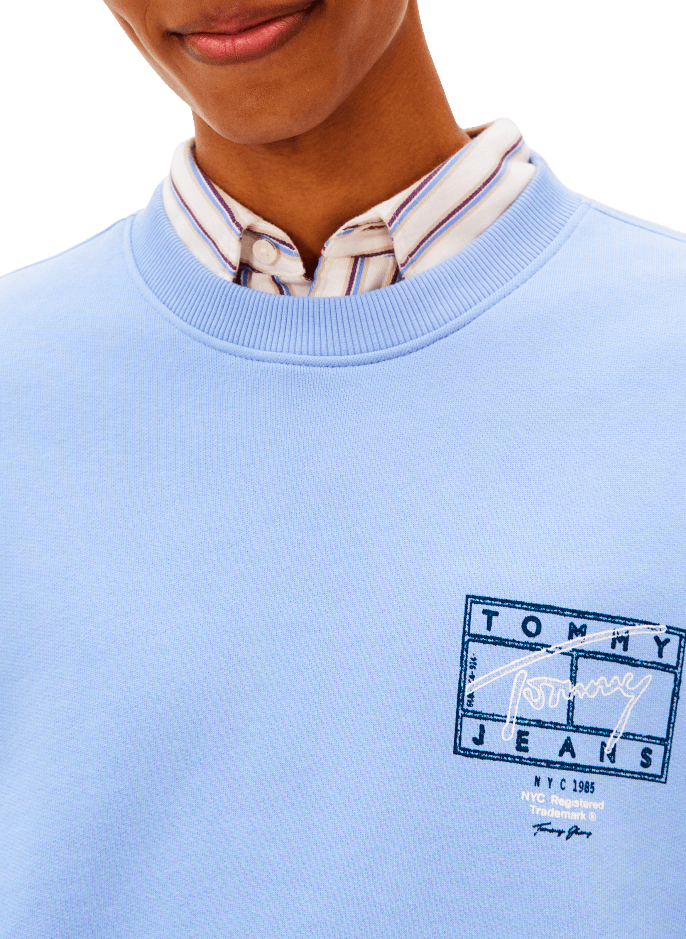 Round neck sweatshirt with patterns TOMMY HILFIGER Blue