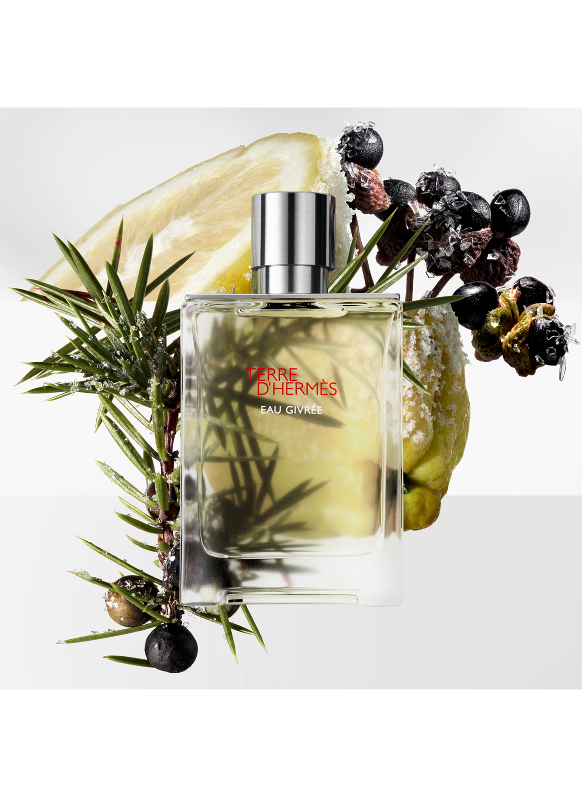 Terre d'Hermès Eau Givrée - Recharge Parfum No color