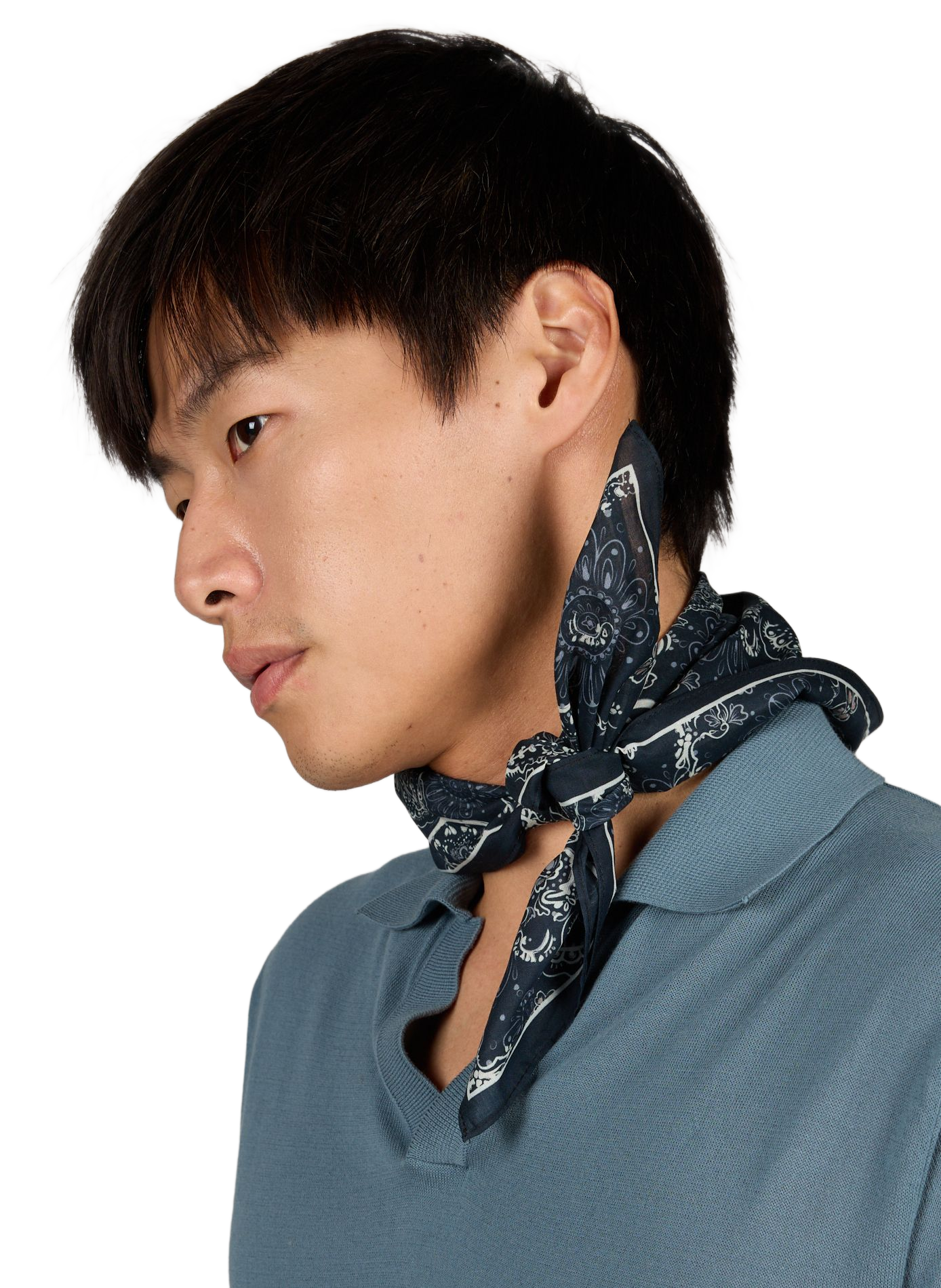 Printed scarf SAISON 1865 Blue