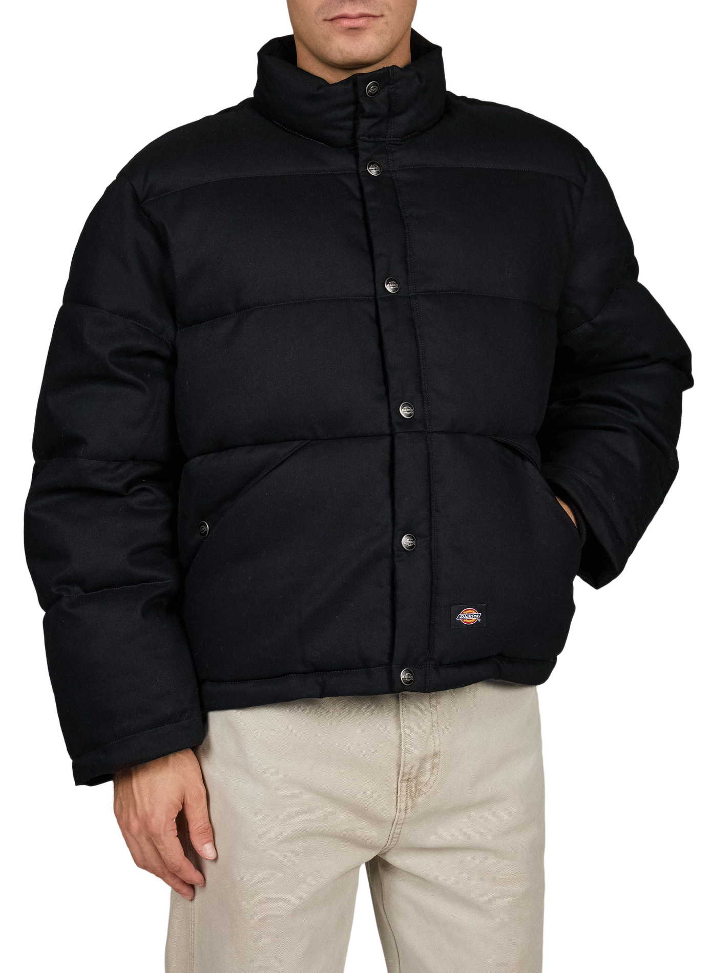 Padded cotton down jacket DICKIES Black