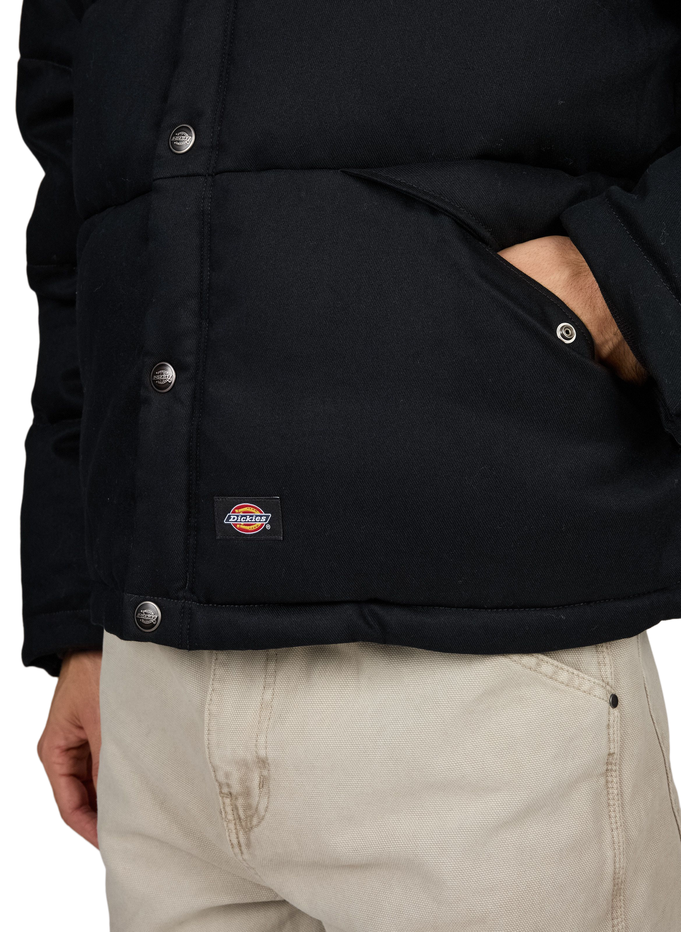 Padded cotton down jacket DICKIES Black