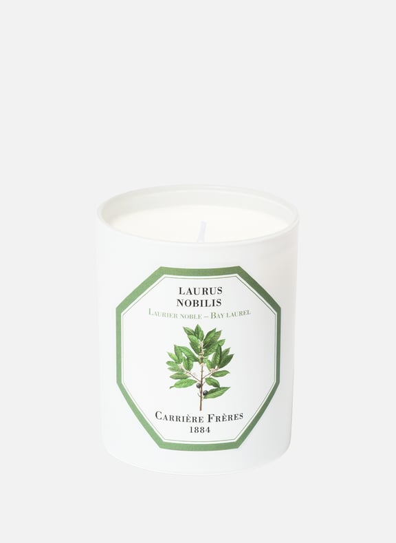 Bay Laurel Scented Candle - Laurus Nobilis - 185 g (6.5 oz) by CARRIERE FRERES CARRIERE FRERES Bay Laurel Scented Candle - Laurus Nobilis - 185 g (6.5 oz)