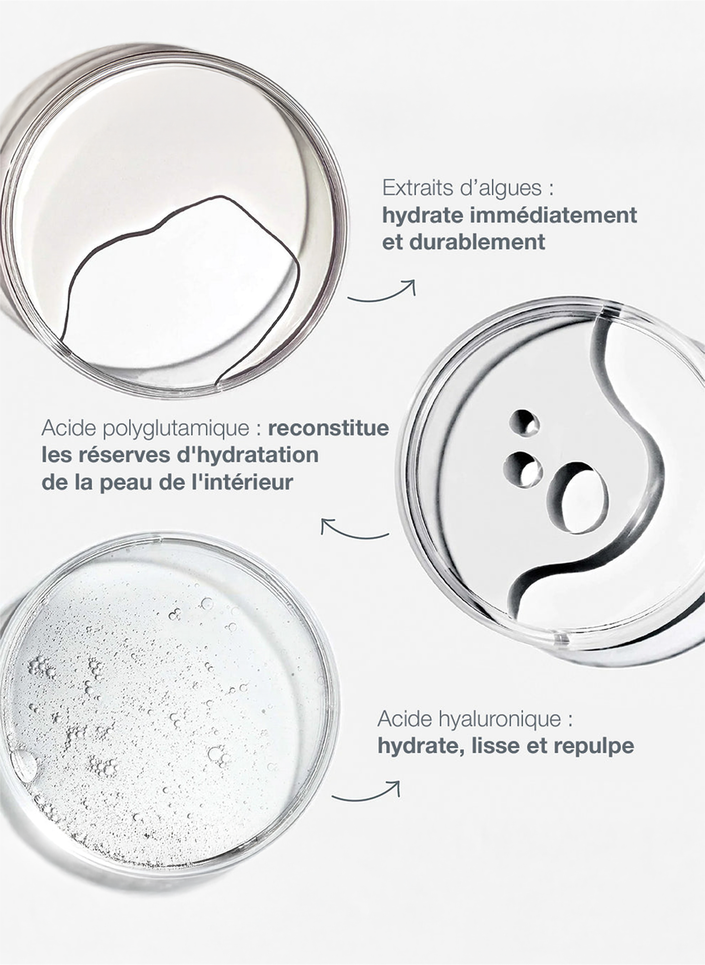 Circular hydration serum DERMALOGICA No color