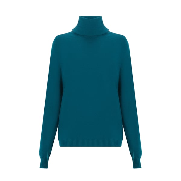 Pull col roulé en laine vierge