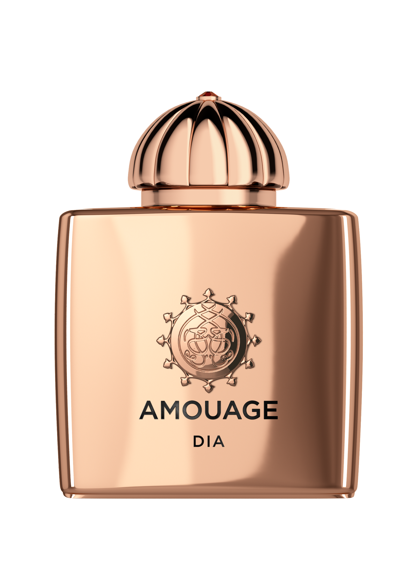 Dia Woman - Eau de parfum AMOUAGE No color