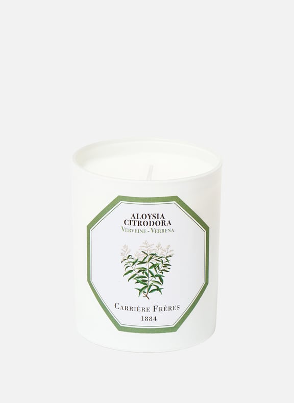 Verbena Scented Candle by CARRIERE FRERES CARRIERE FRERES Verbena Scented Candle