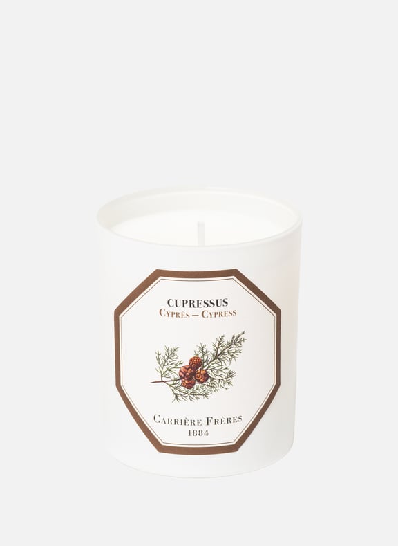 Bougie Parfumée Cyprès - Cupressus by CARRIERE FRERES CARRIERE FRERES Bougie Parfumée Cyprès - Cupressus