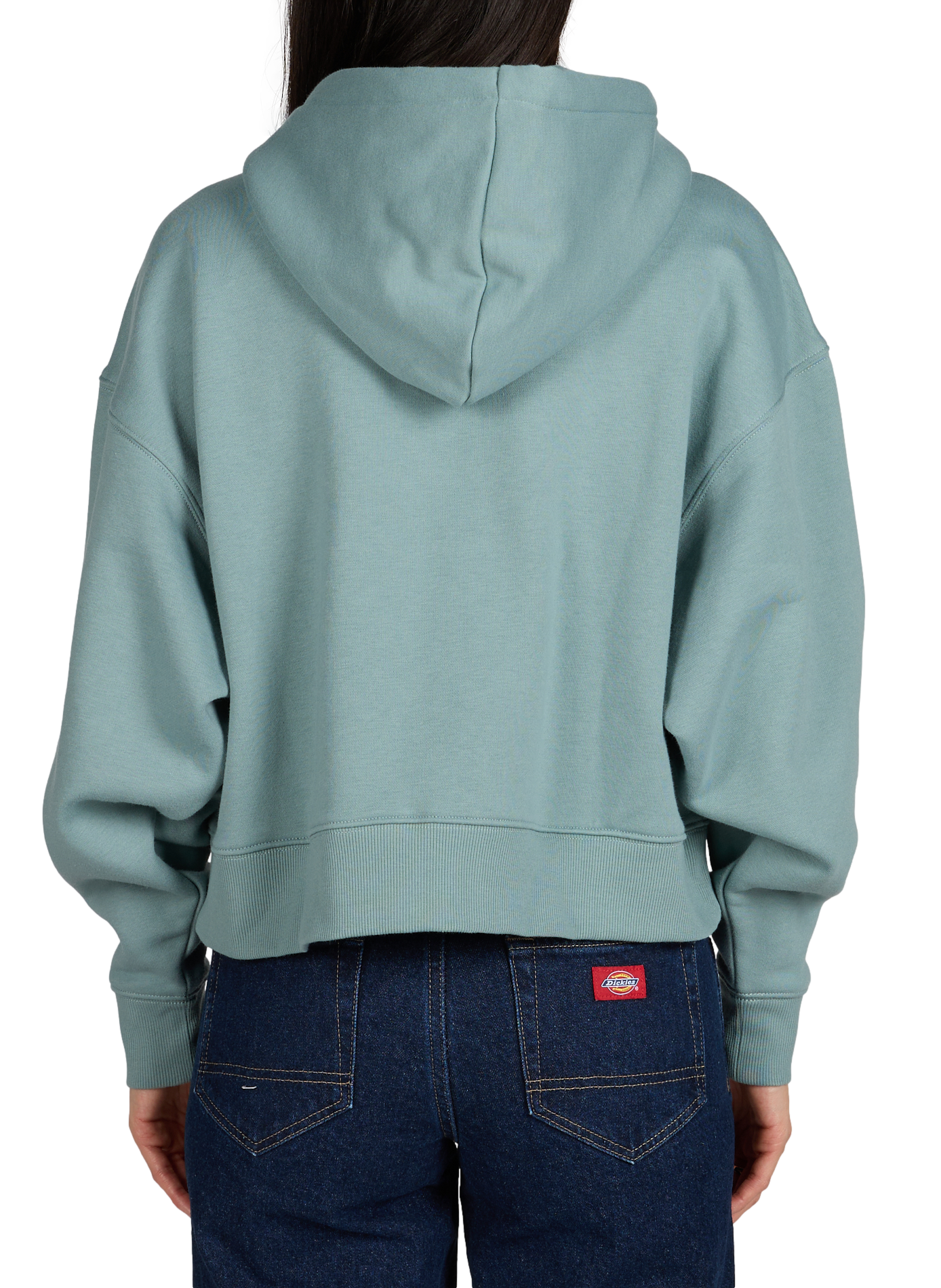 Hoodie à capuche en coton mélangé DICKIES Bleu