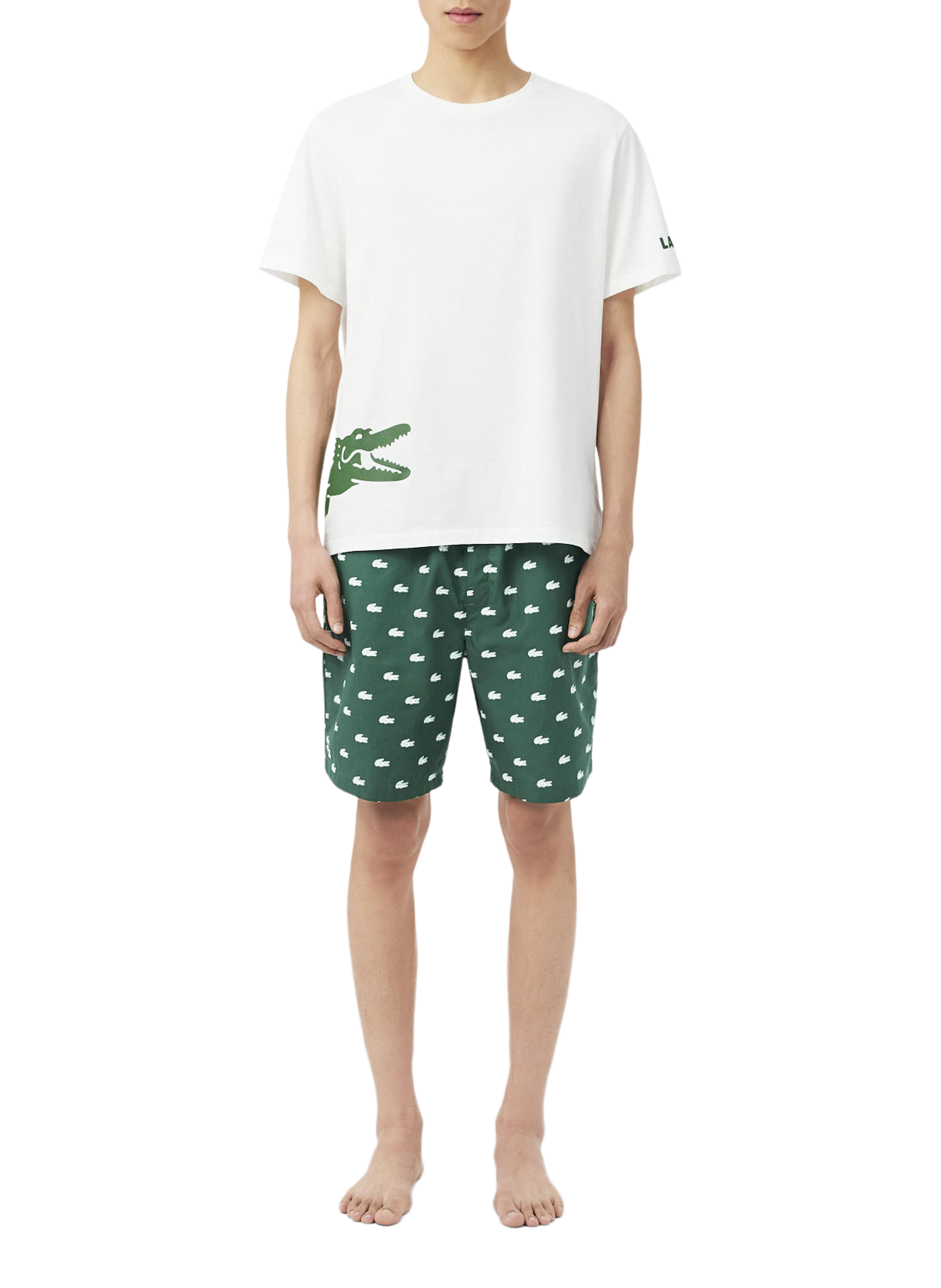 Cotton pajama shorts with pattern LACOSTE Green