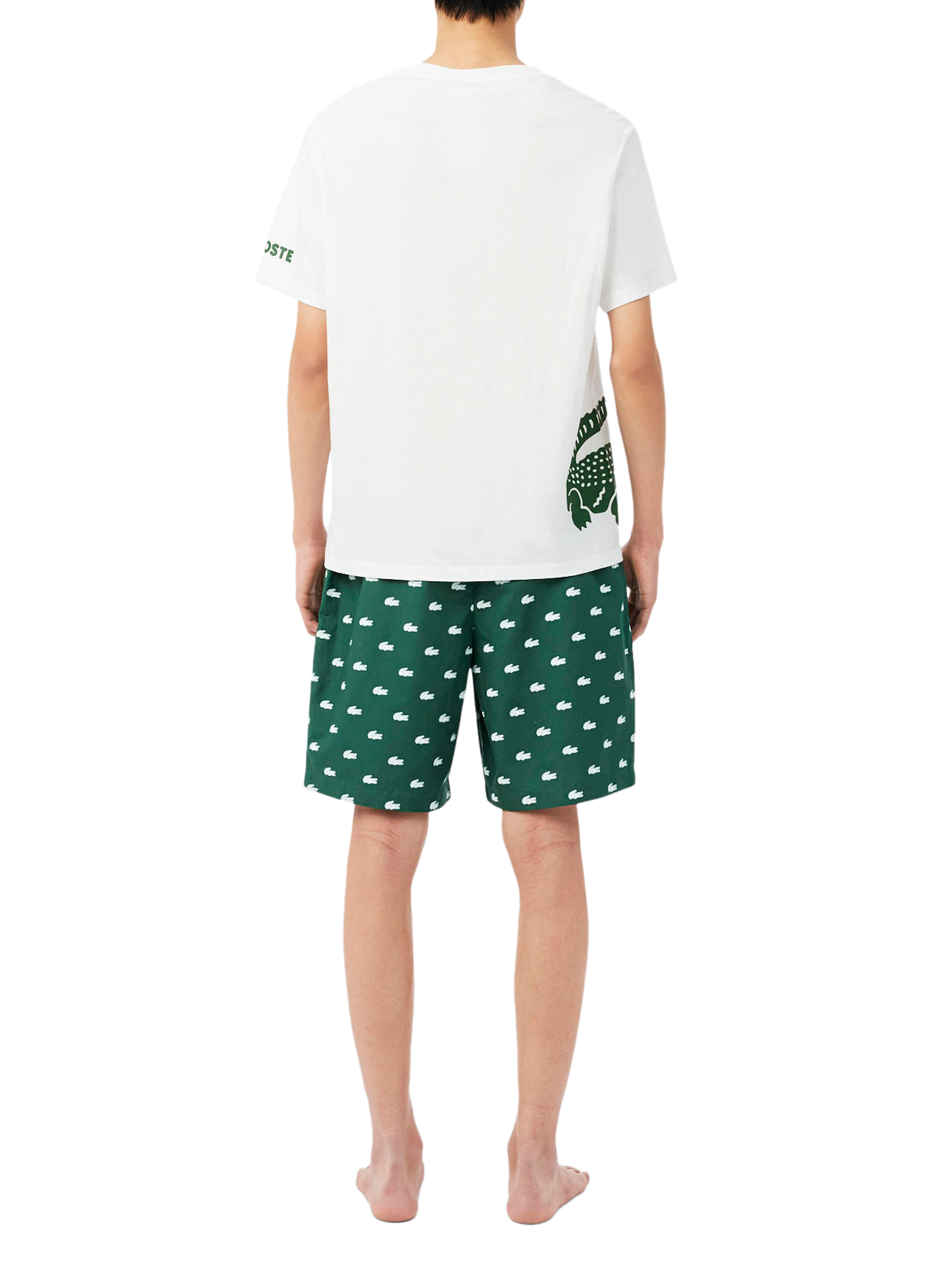 Cotton pajama shorts with pattern LACOSTE Green