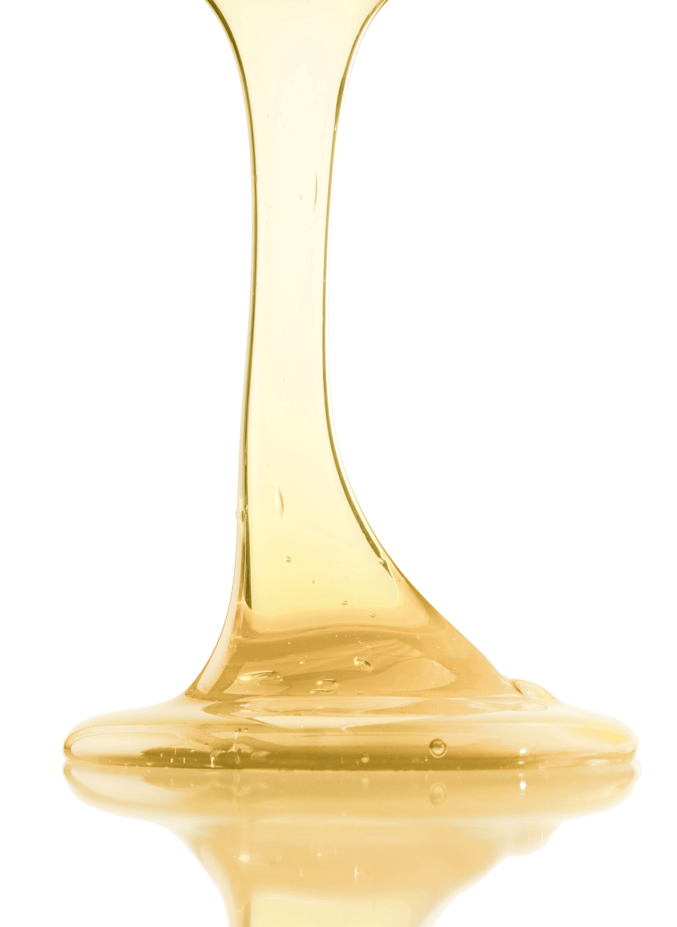 Shampooing Bain TS LEONOR GREYL No color