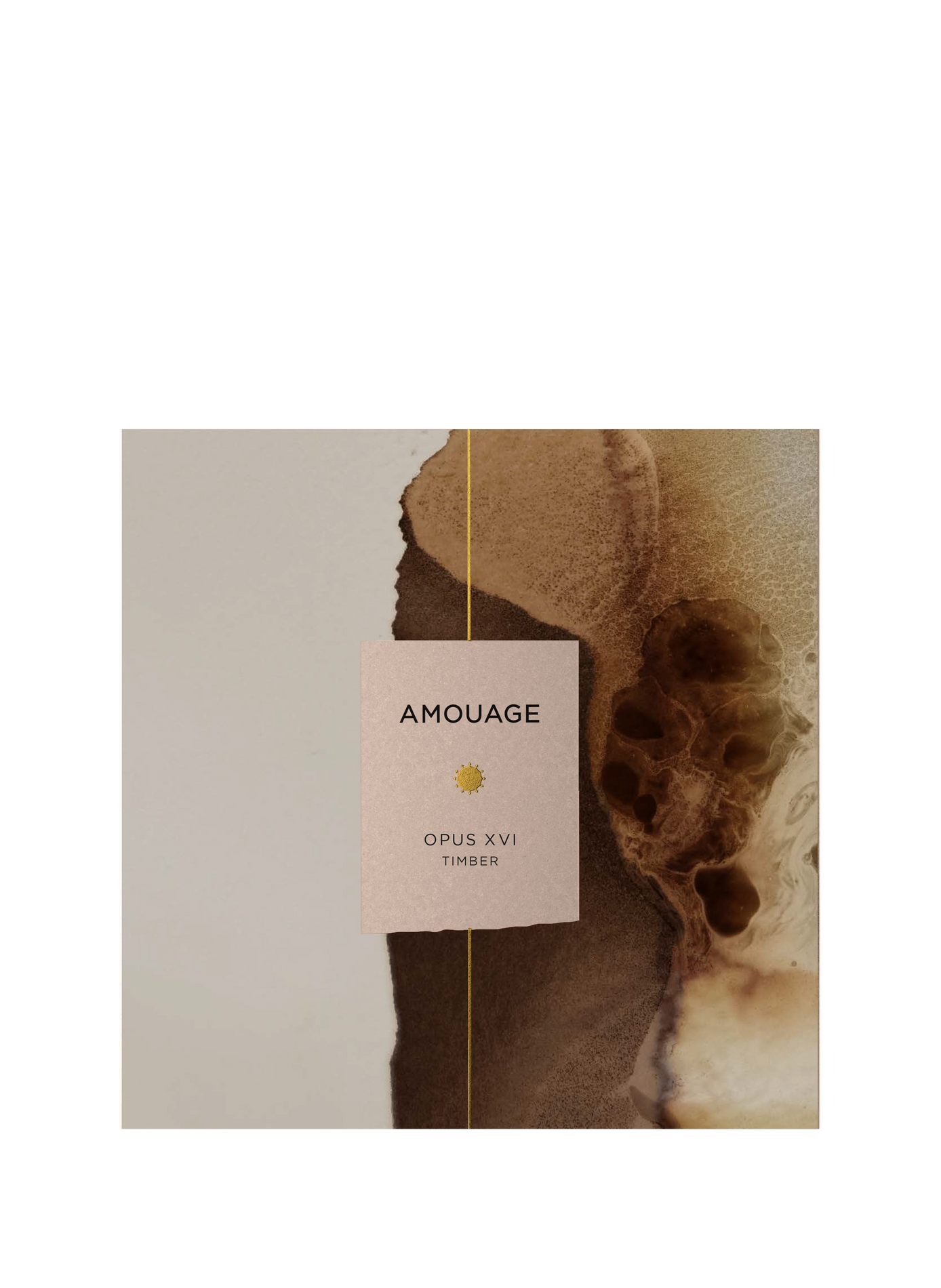 Opus XVI Timber - Eau de parfum AMOUAGE No color