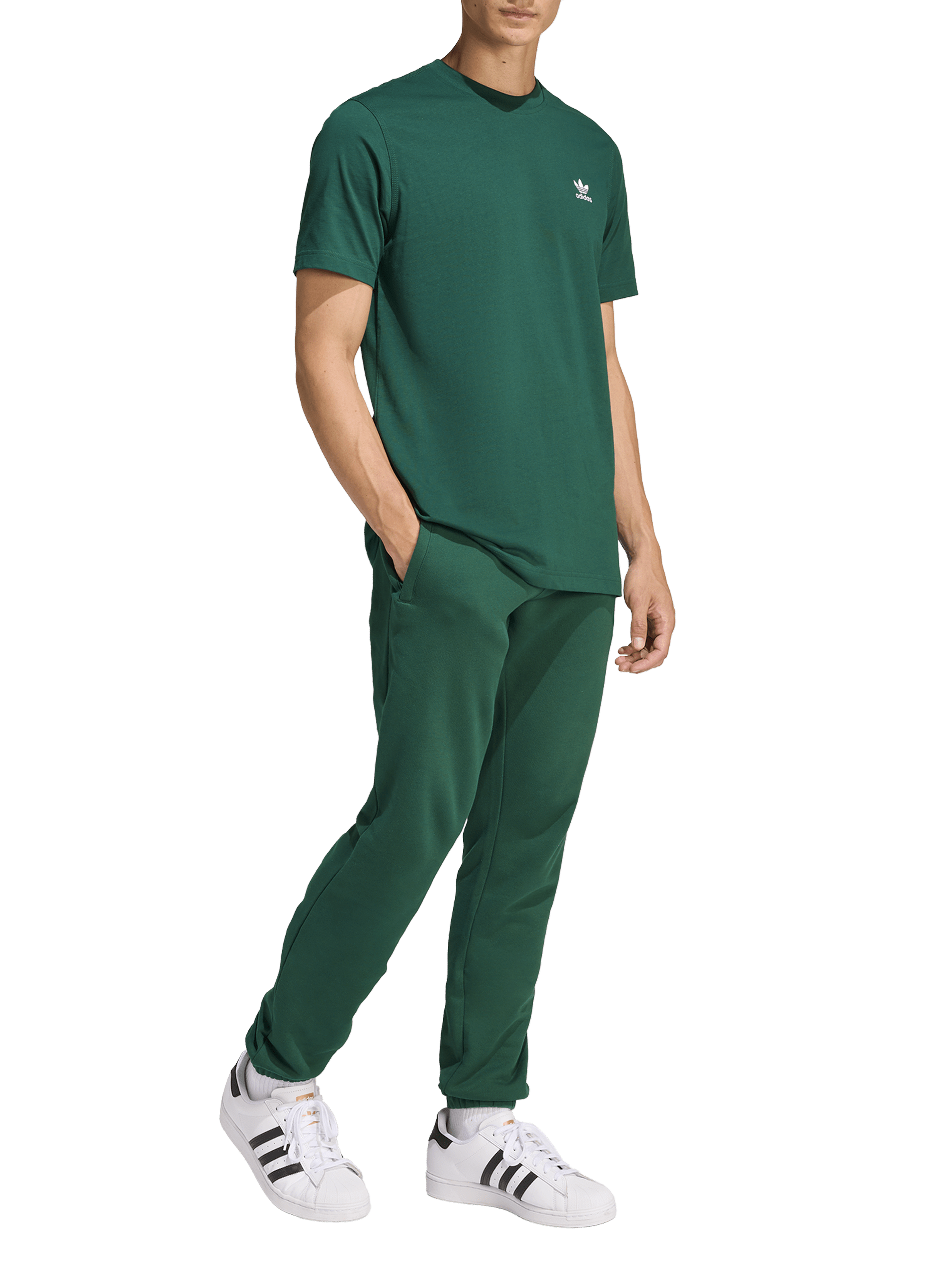 Straight short-sleeved cotton T-shirt ADIDAS Green