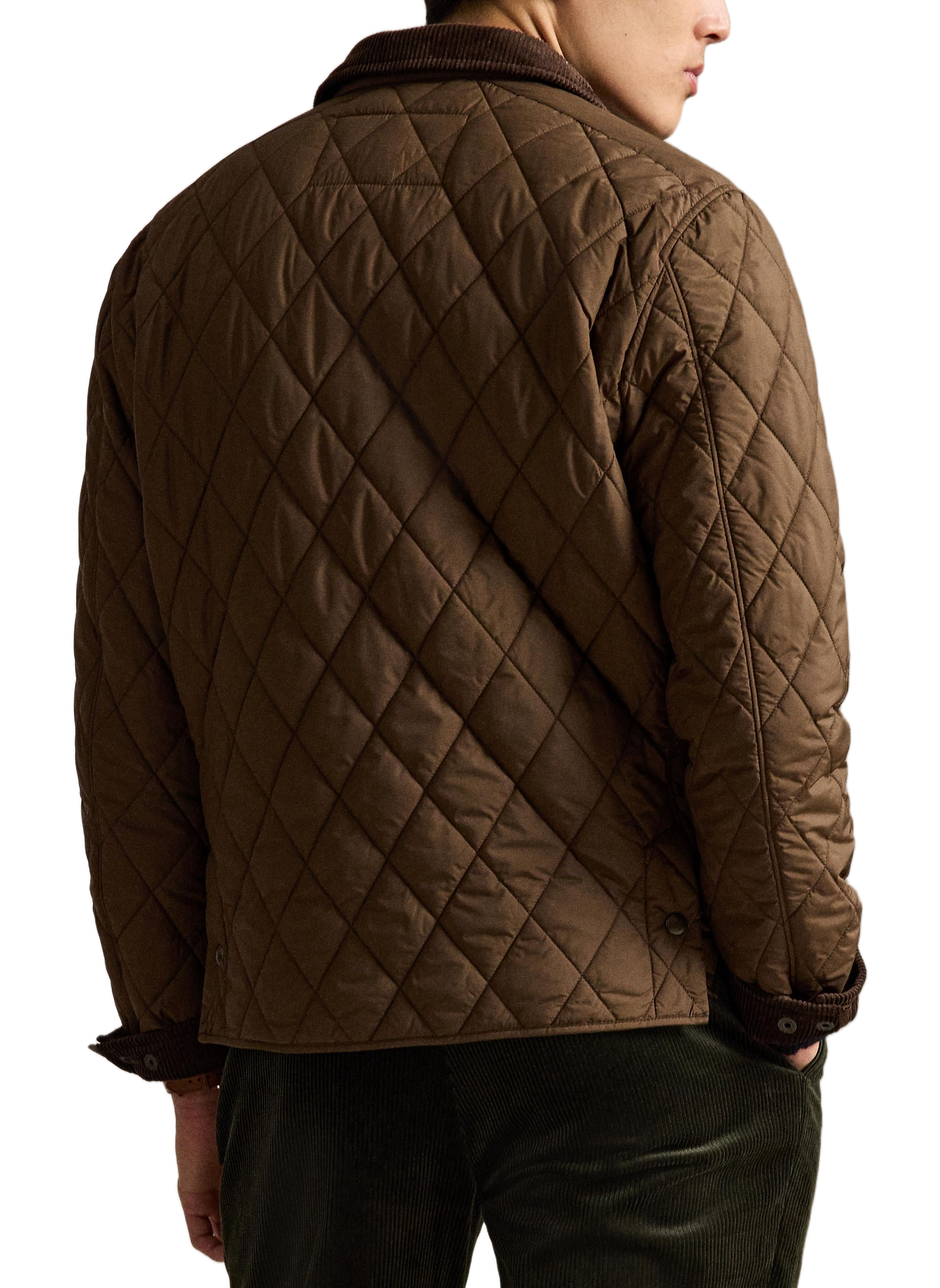 Gepolsterte Jacke | Beige POLO RALPH LAUREN Herren