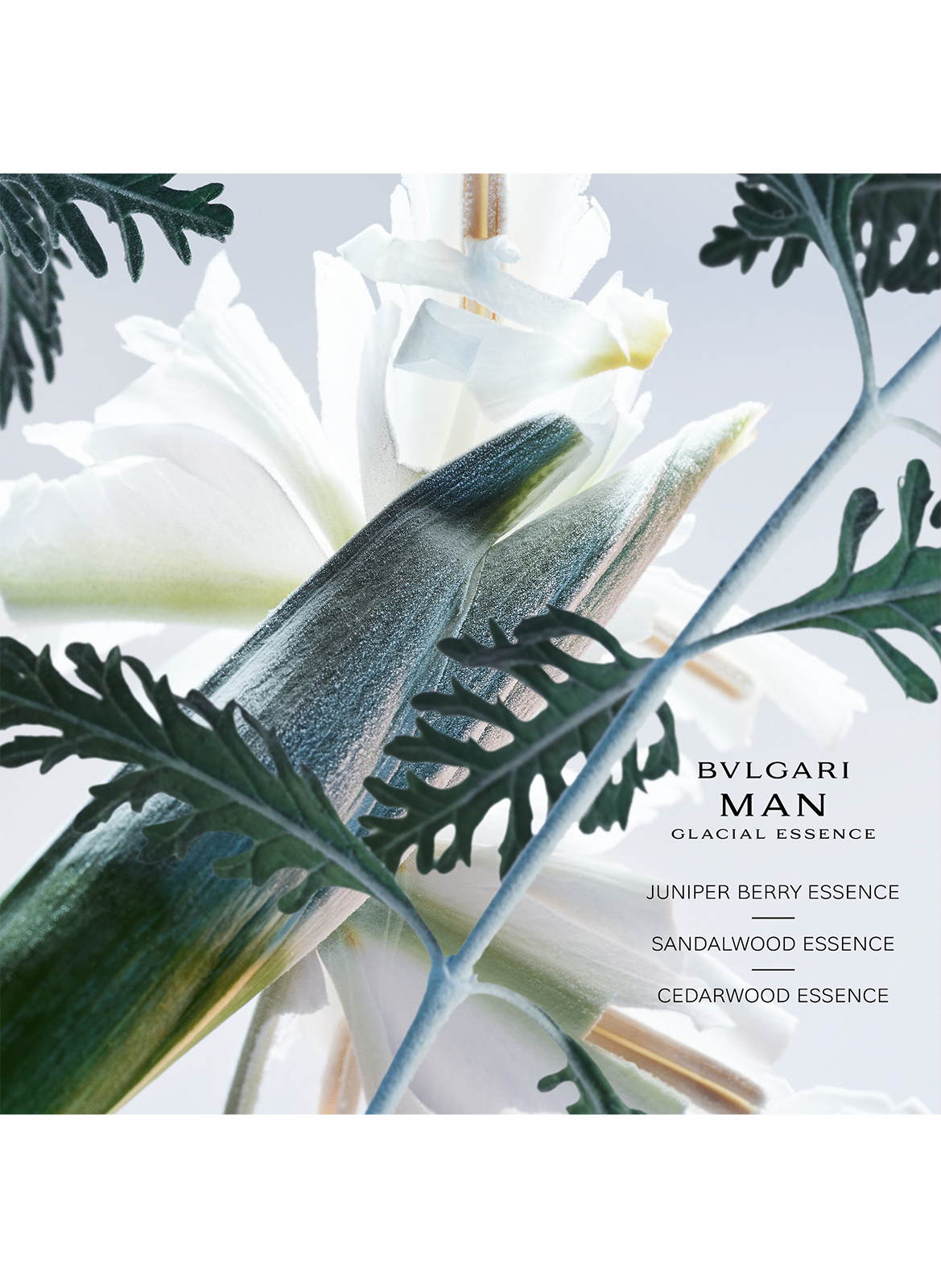 Bvlgari Man Glacial Essence - Eau de Parfum BVLGARI No color