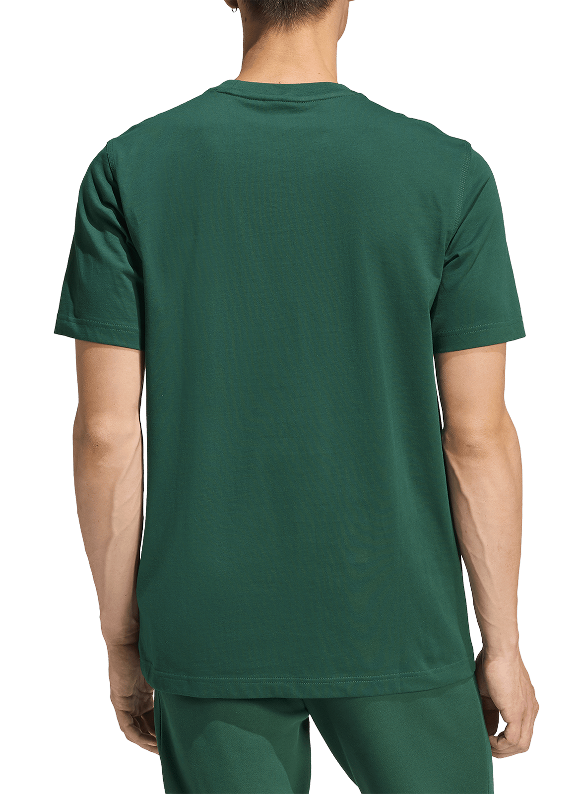 Straight short-sleeved cotton T-shirt ADIDAS Green