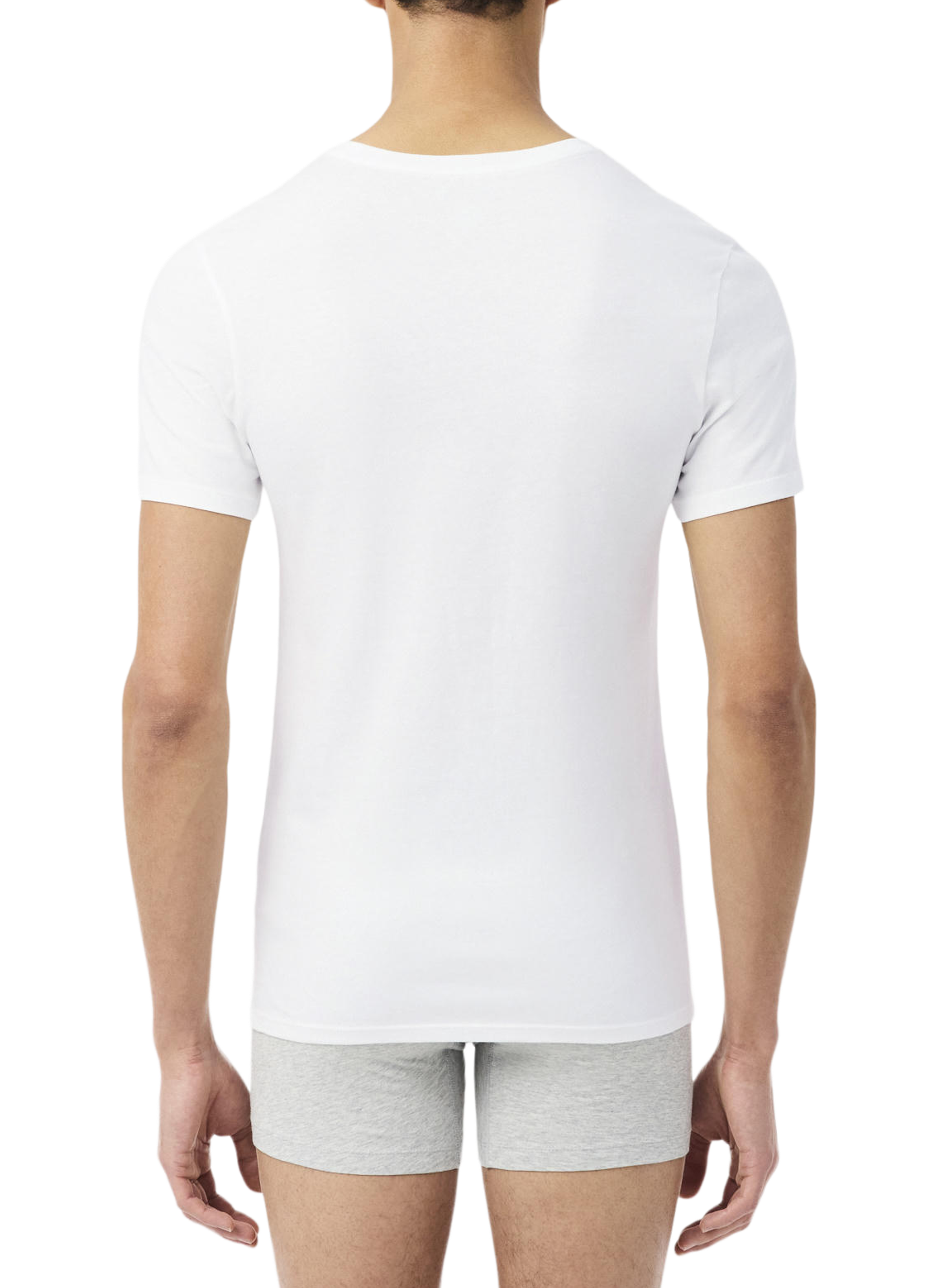 Set of 3 cotton t-shirts LACOSTE Multicolour