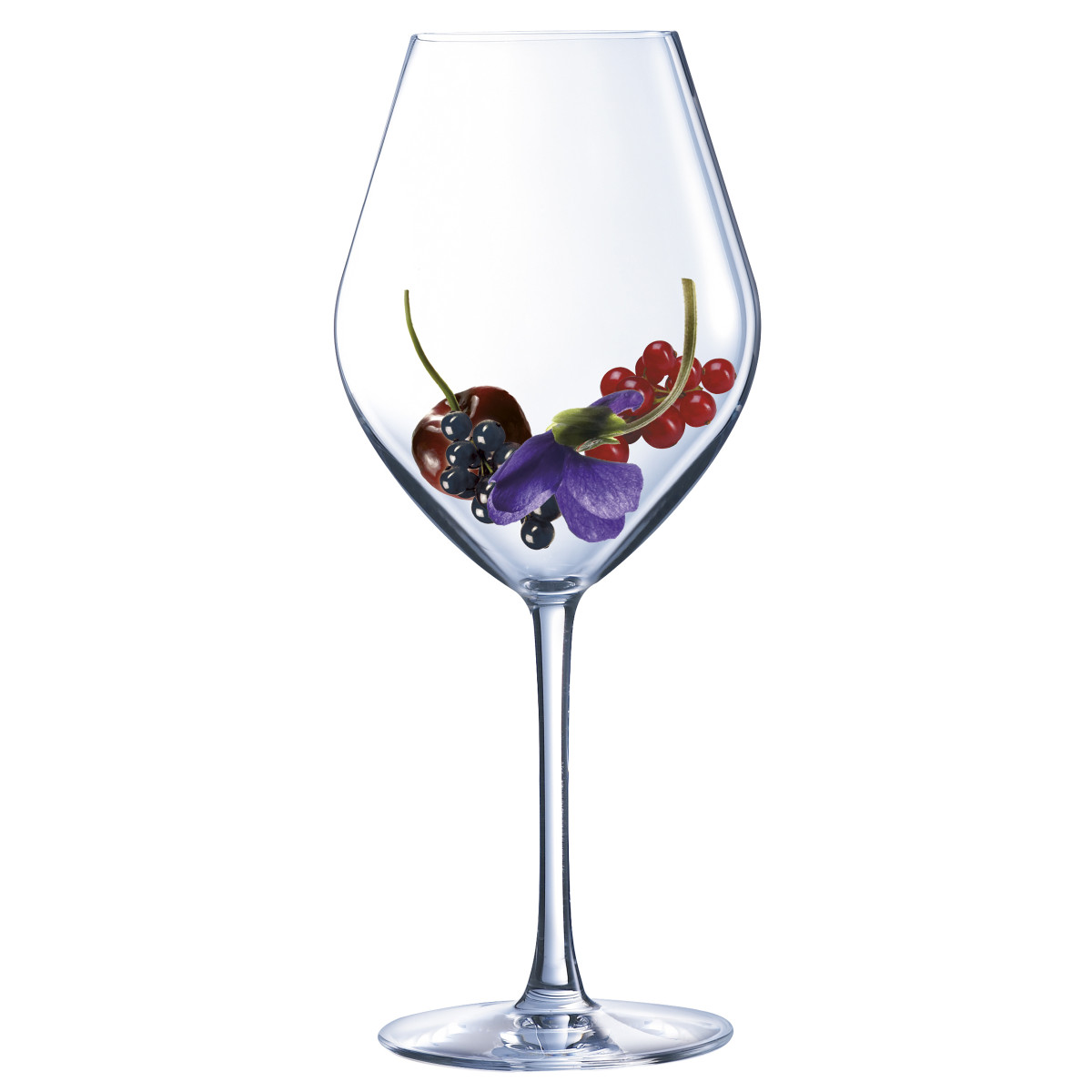Lys - lot de 6 verres à pied 25cl COUZON Transparent