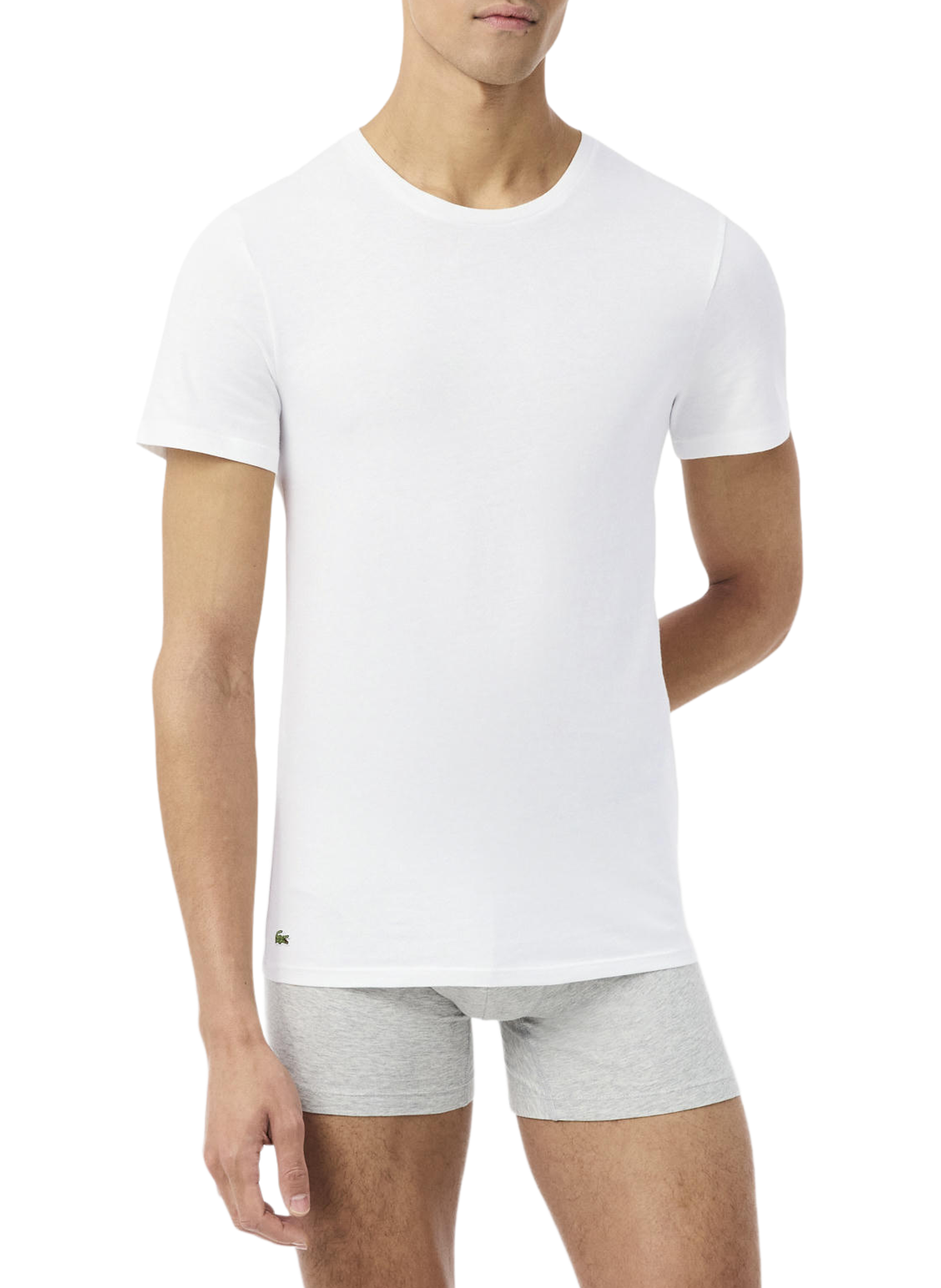 Set of 3 cotton t-shirts LACOSTE Multicolour