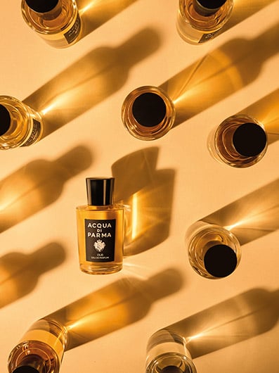 Image d'illustration