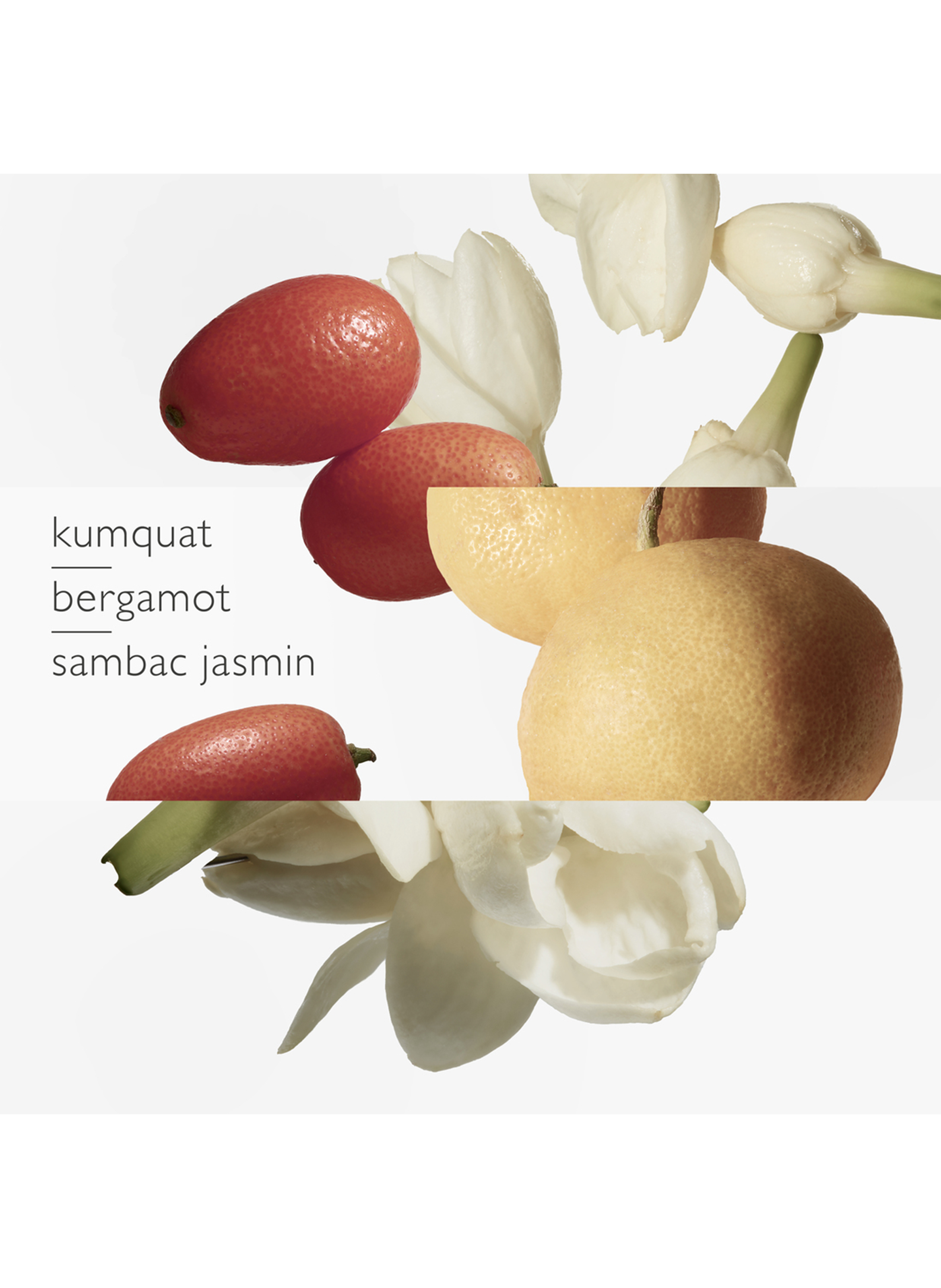 Mr. Li's Garden - Eau de Toilette Refill No color