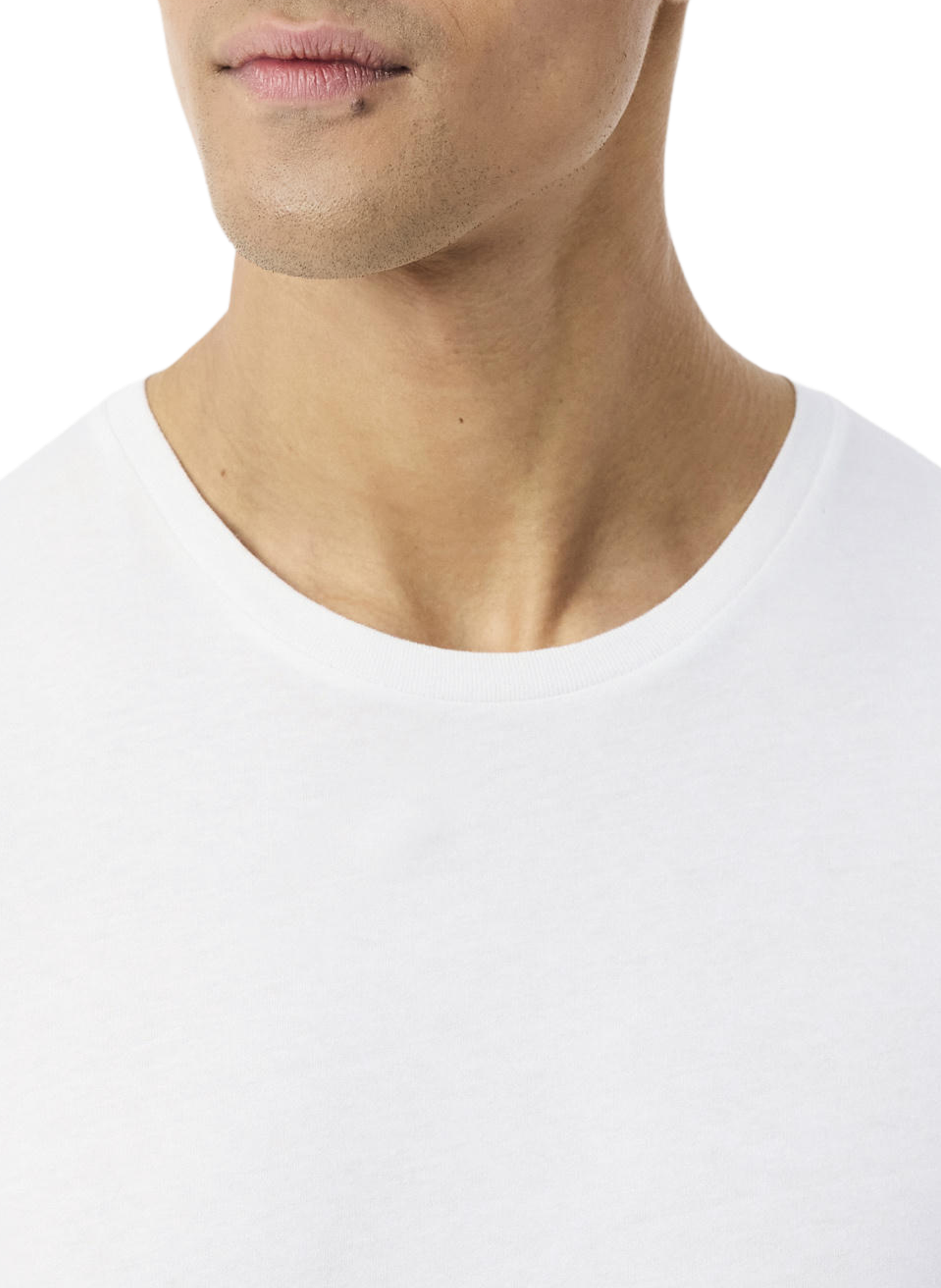 Set of 3 cotton t-shirts LACOSTE Multicolour