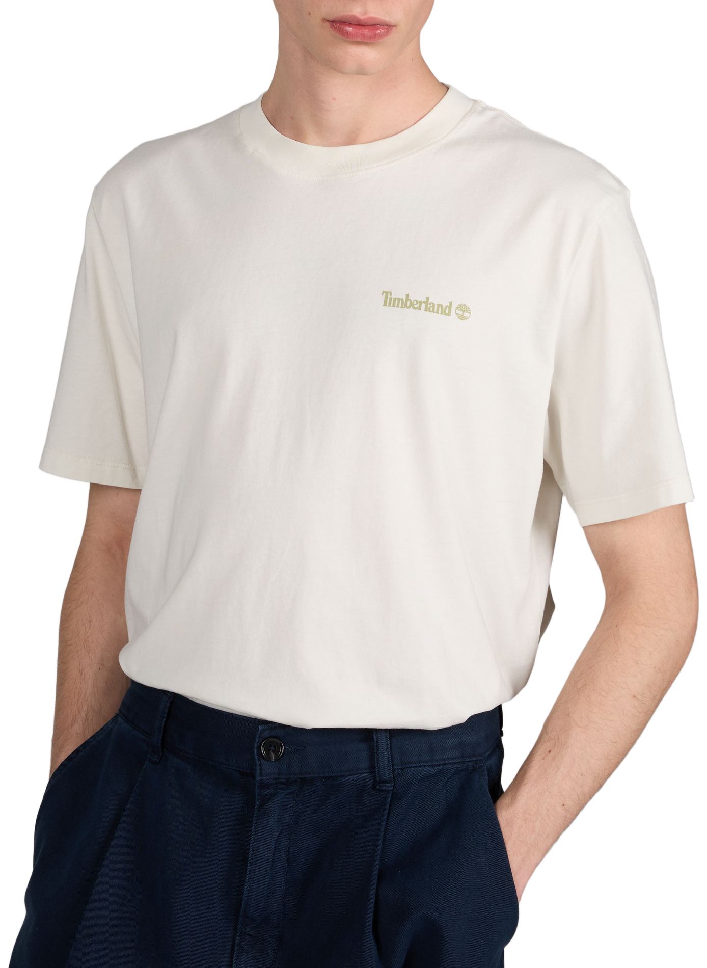 Printed cotton T-shirt TIMBERLAND White