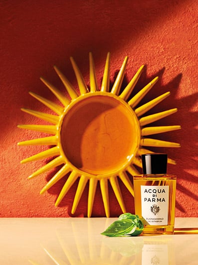 Image d'illustration