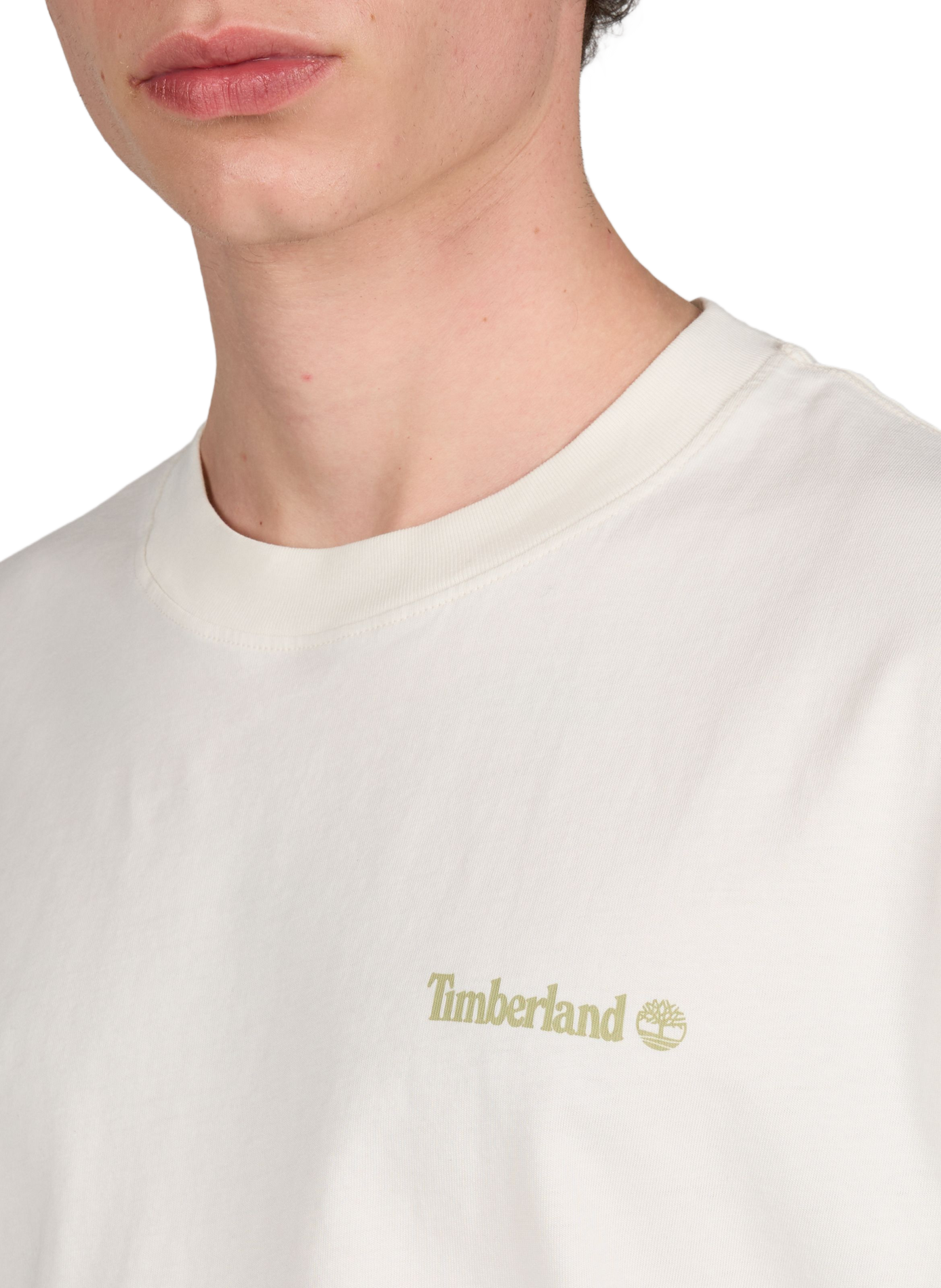 Printed cotton T-shirt TIMBERLAND White