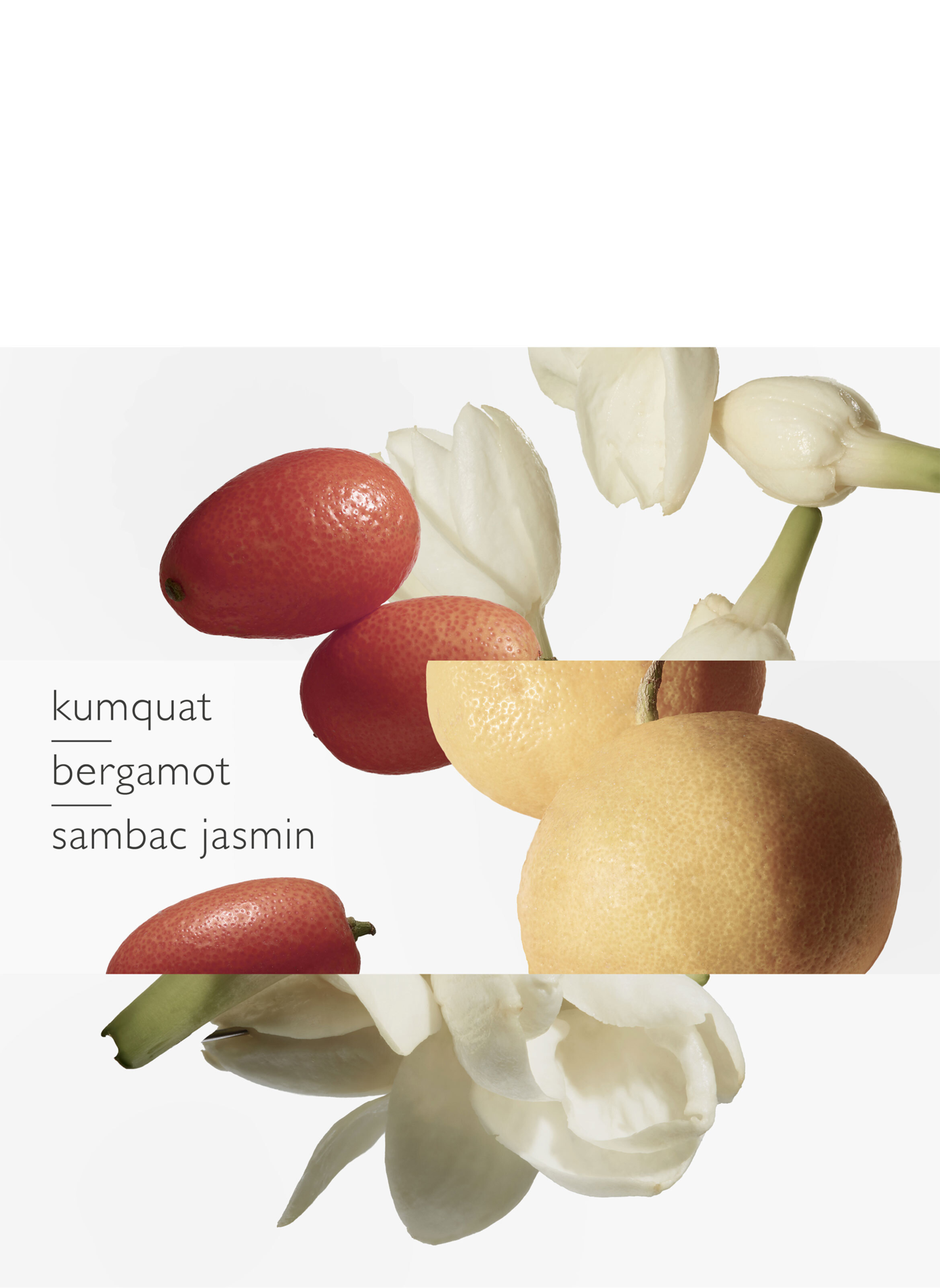 Der Garten des Monsieur Li Eau de Toilette Zerstäuber HERMÈS No color