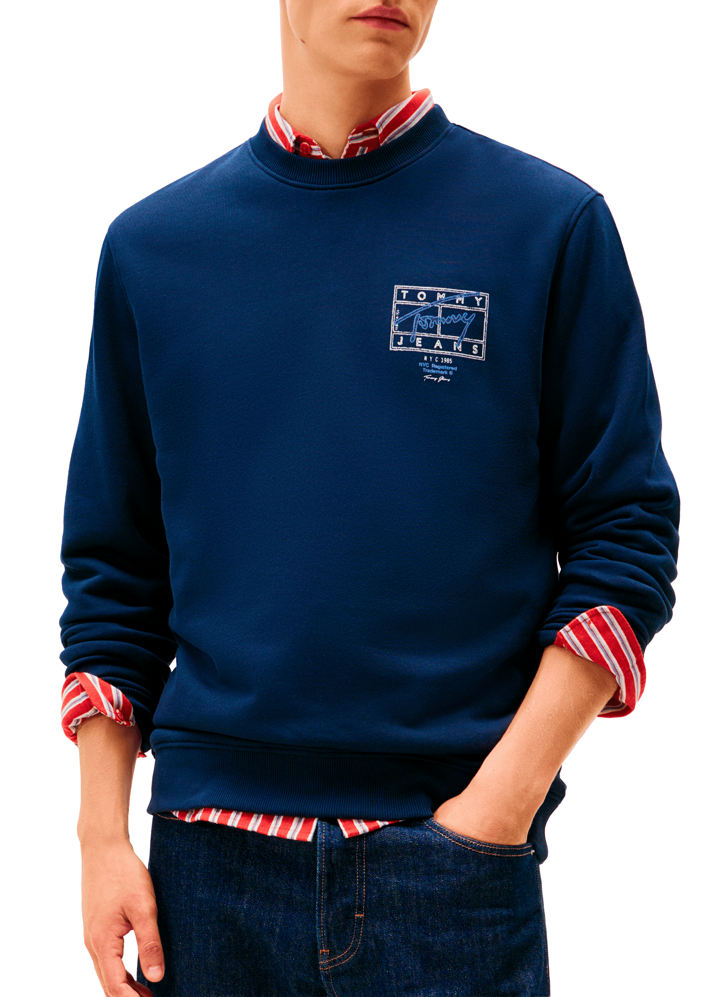 Round neck sweatshirt with patterns TOMMY HILFIGER Blue