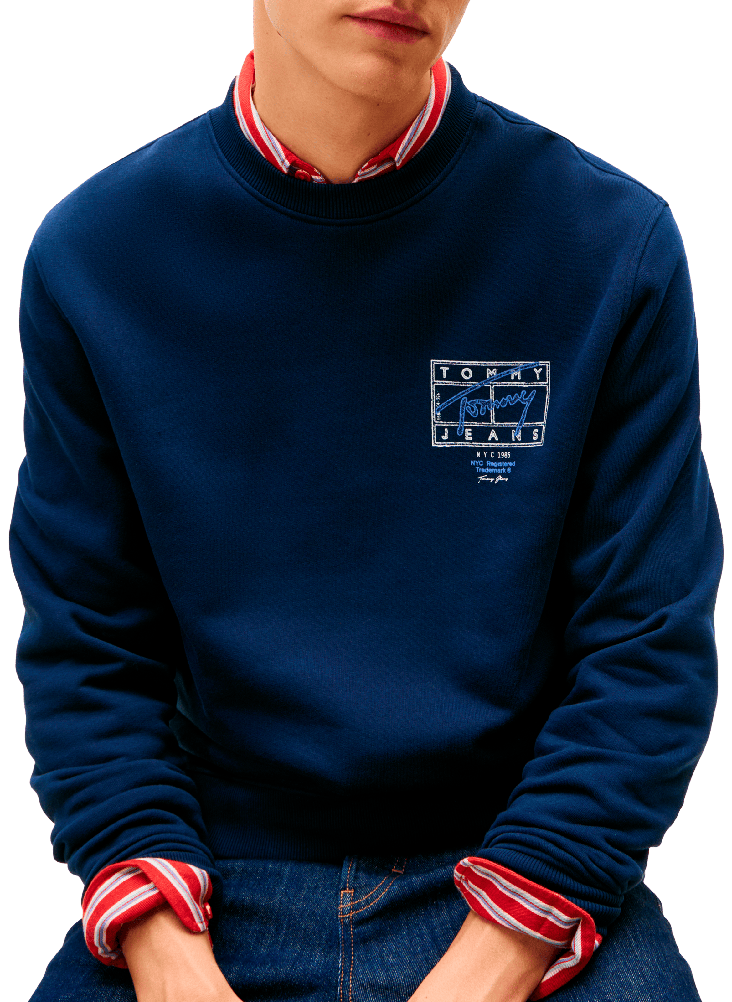 Round neck sweatshirt with patterns TOMMY HILFIGER Blue