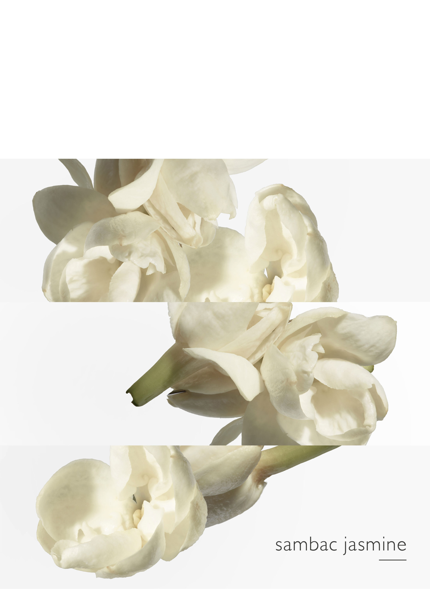Der Garten des Monsieur Li Eau de Toilette Zerstäuber HERMÈS No color