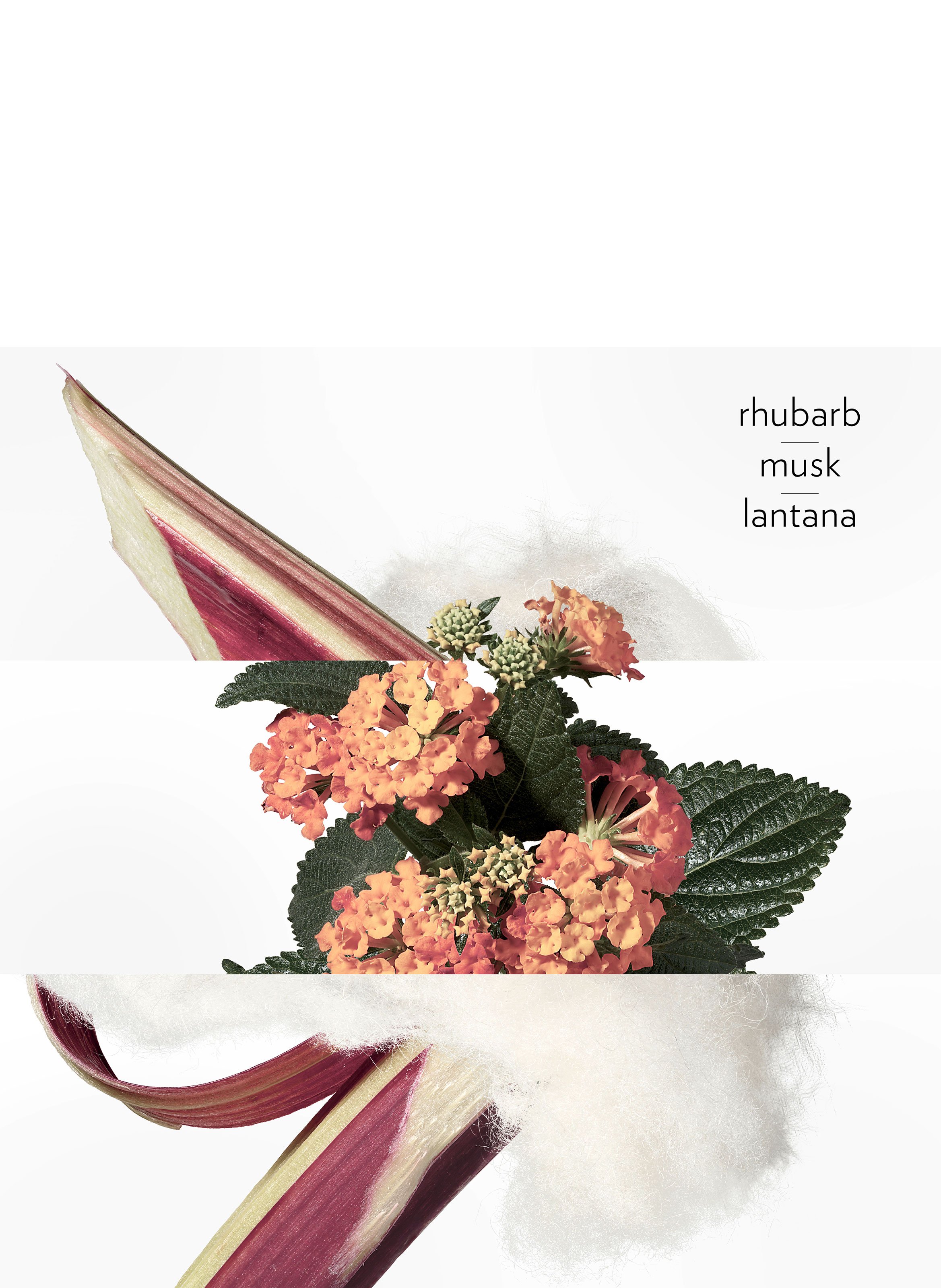 Eau de rhubarbe écarlate, Eau de Cologne Spray HERMÈS No color