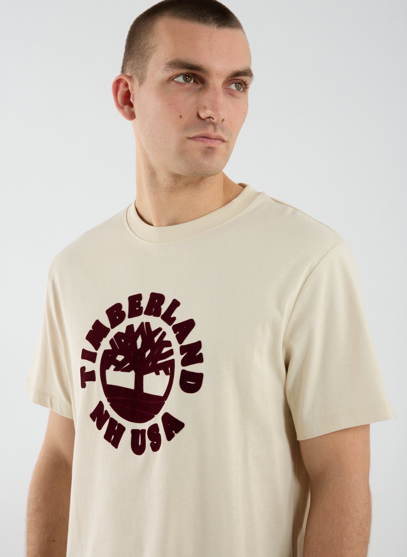 Cotton round-neck T-shirt TIMBERLAND Beige