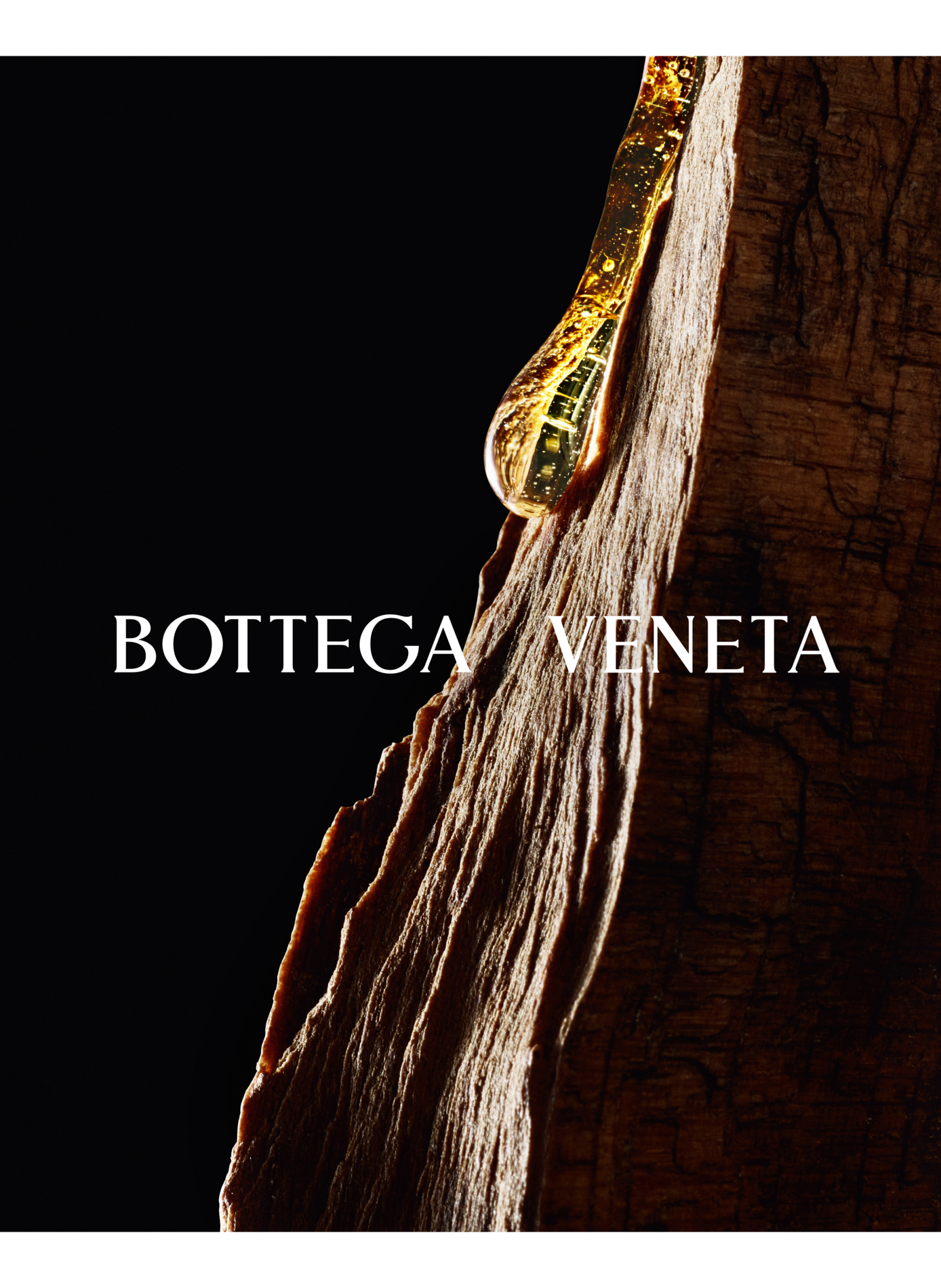 Remember me - Recharge BOTTEGA VENETA No color