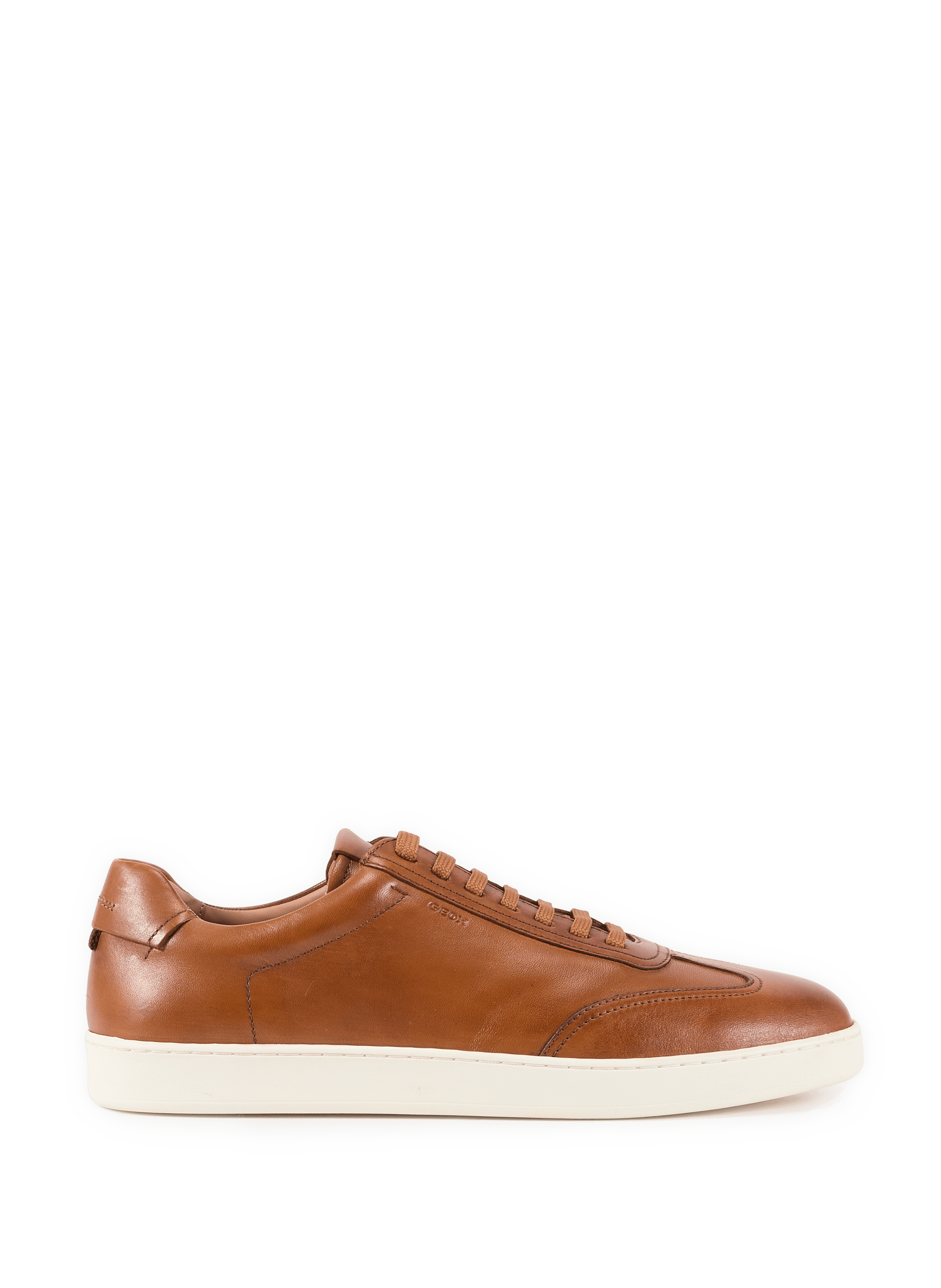 Low-top Regio leather sneakers GEOX Brown